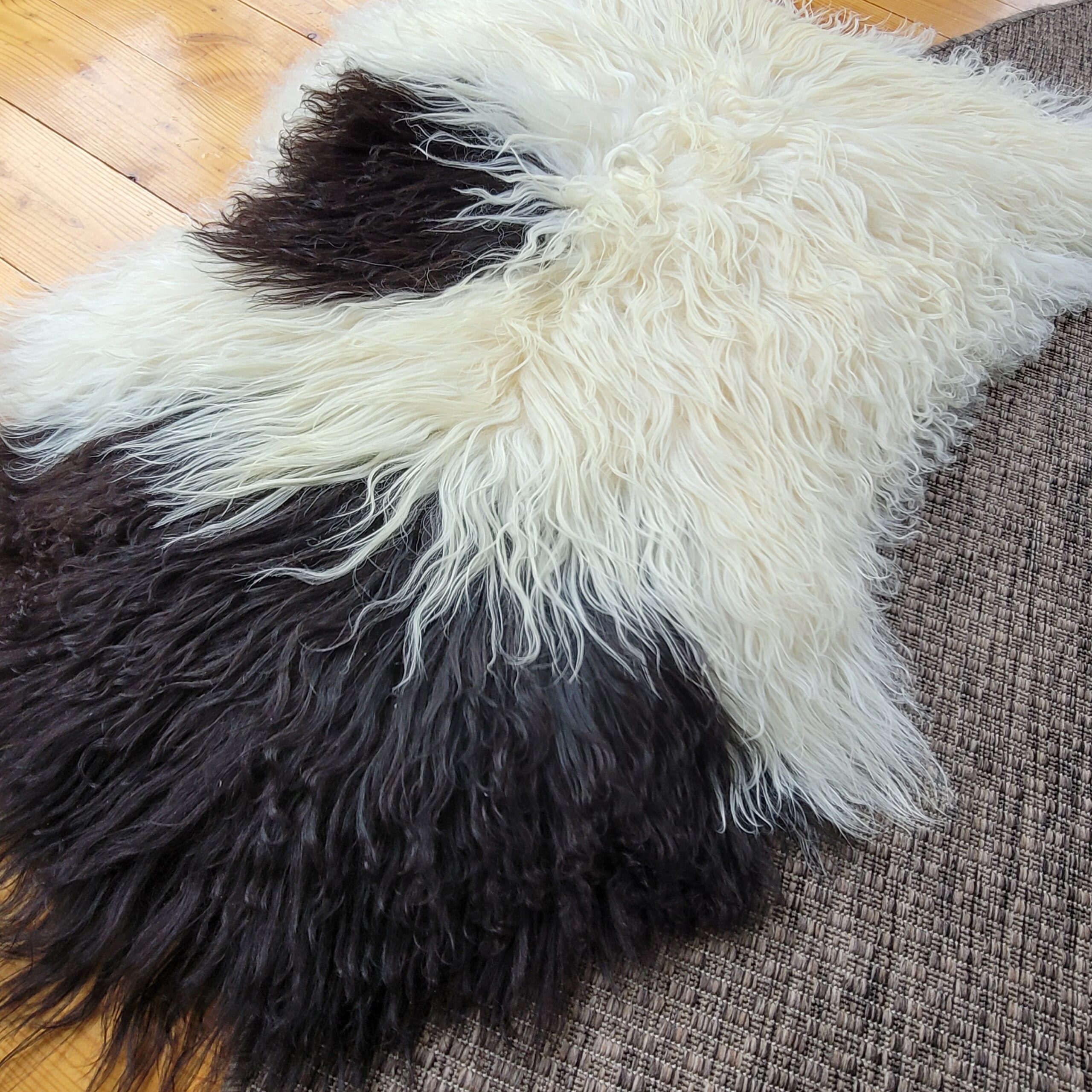 Dark Brown Spotted Ecru Icelandic Sheepskin Rug 50″ × 32″