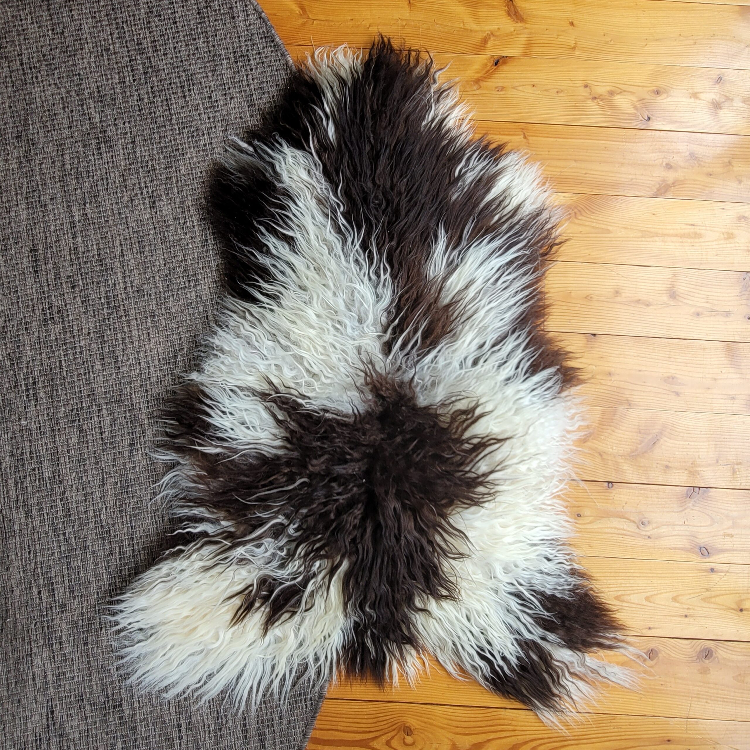 Ecru, Brown & Gray Spotted Icelandic Sheepskin Rug 48″ × 32″ - Image 3