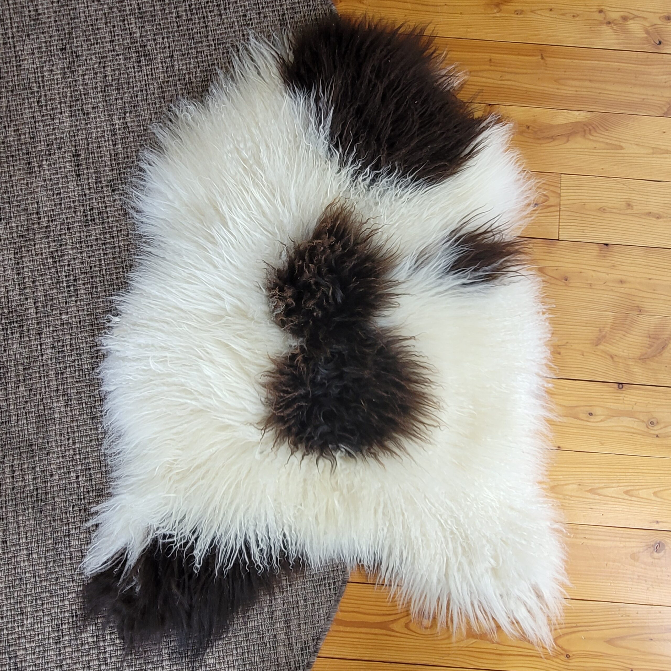Rich Brown & Ivory Curly Icelandic Sheepskin Rug 48″ × 33″ - Image 3