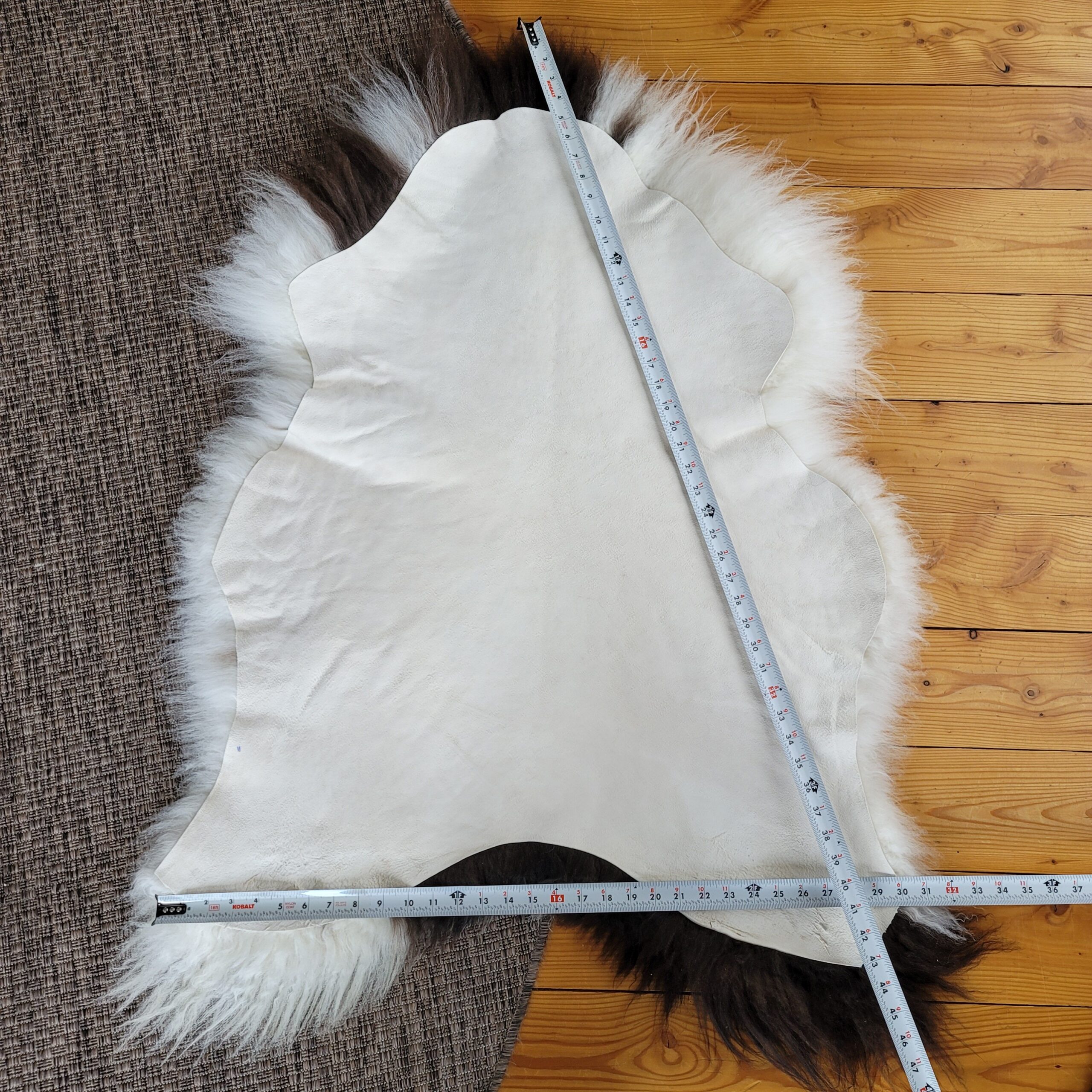 Rich Brown & Ivory Curly Icelandic Sheepskin Rug 48″ × 33″ - Image 5