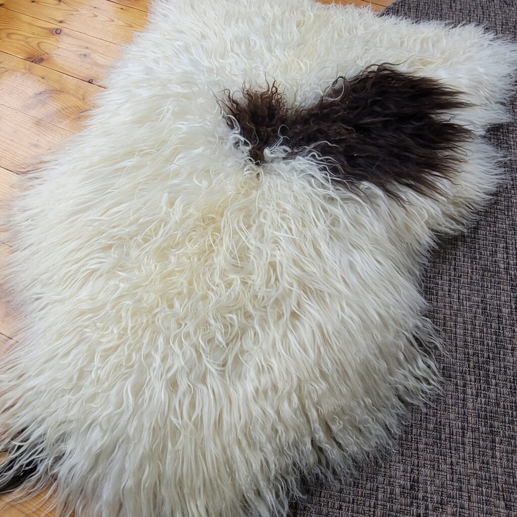 Exceptional Brown Spotted Curly Icelandic Sheepskin Rug 50″ × 33″