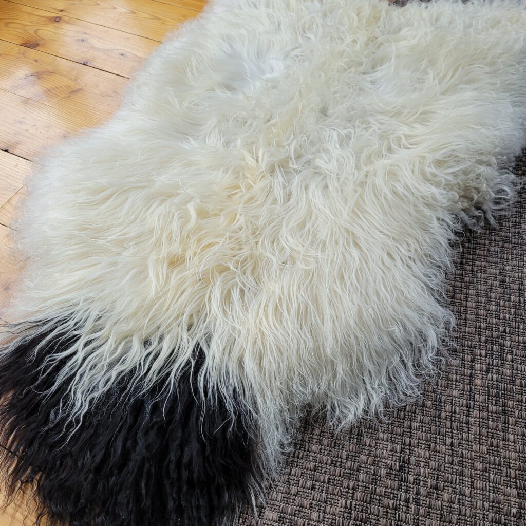 Exceptionally Soft Gray-Base Ecru Curly Icelandic Sheepskin 49″ × 31″