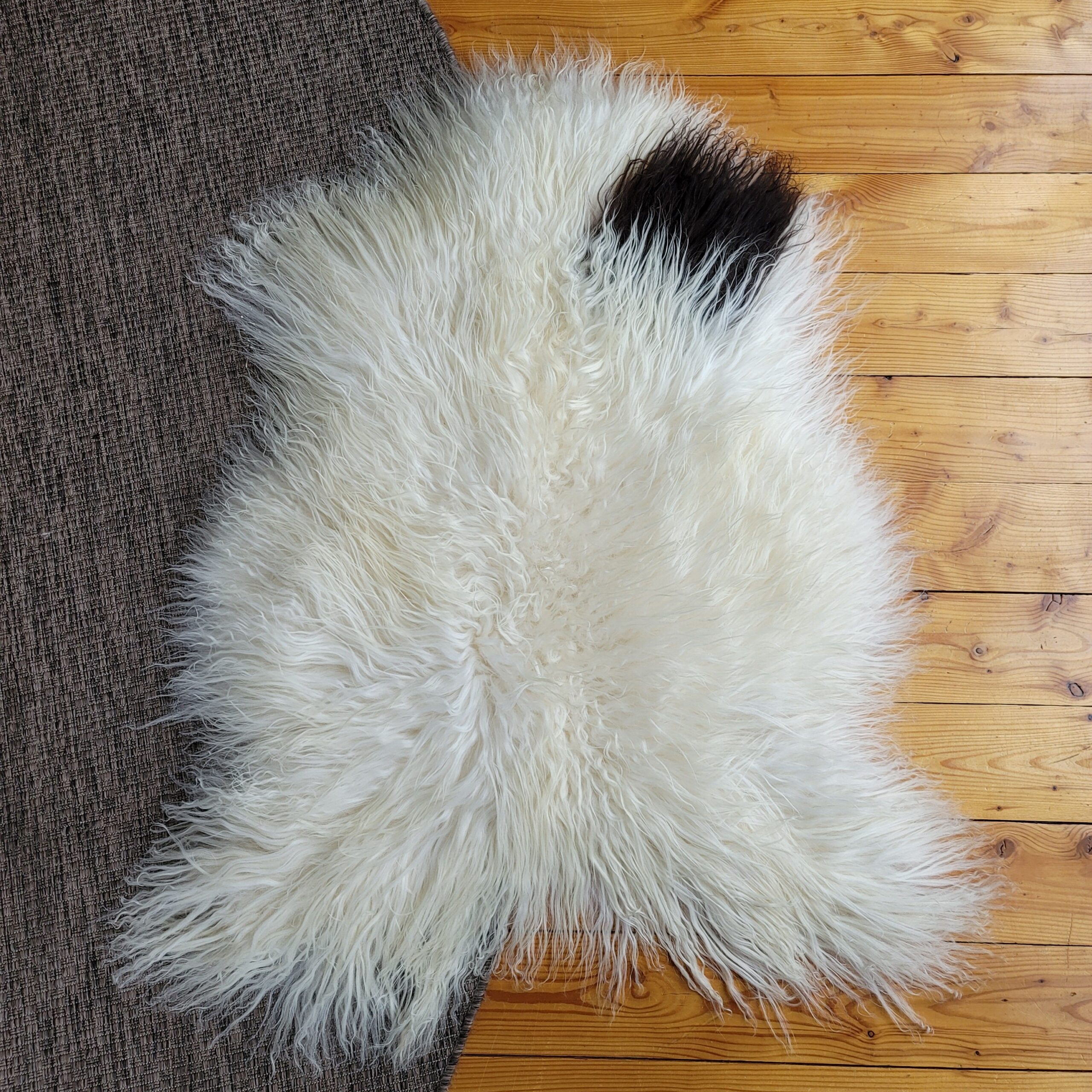 Rare 7″–8″ Wool Ivory Spotted Icelandic Sheepskin 48″ × 37″ - Image 4