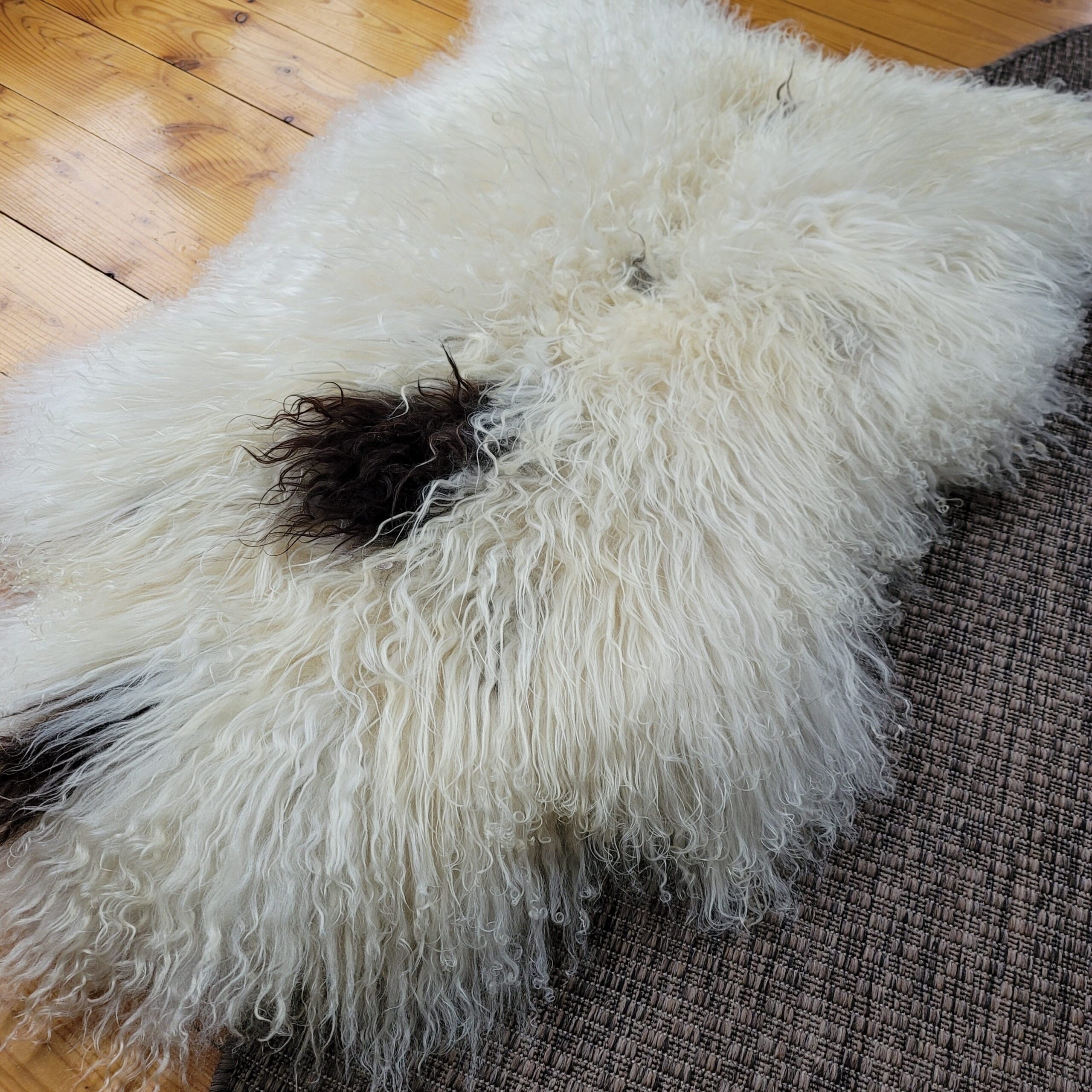 Plush Soft Ecru Spotted Icelandic Sheepskin 48″ × 32″ - Image 3