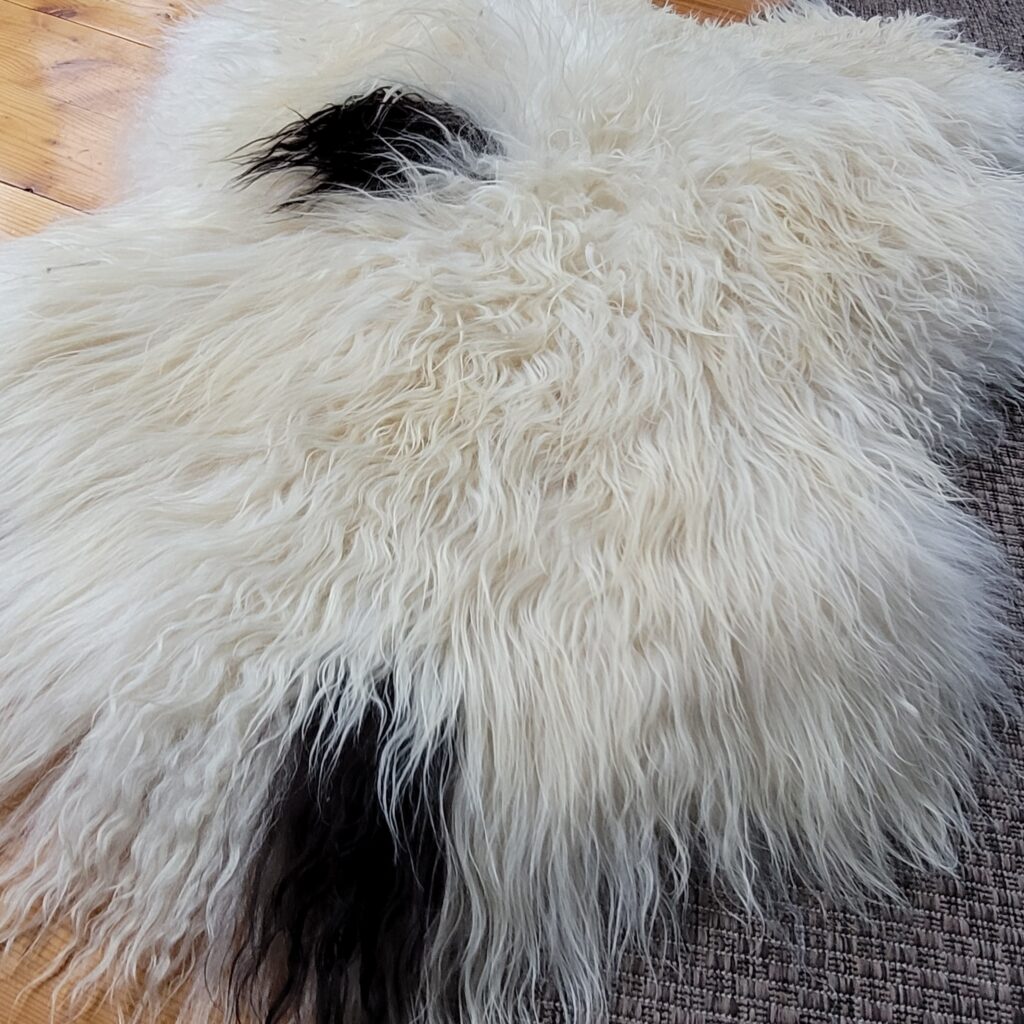 Substantial Soft Ecru Spotted Icelandic Sheepskin Rug 50″ × 34″