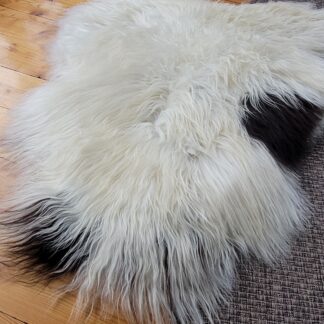 Exceptionally Soft Ecru Spotted Curly Icelandic Sheepskin 48″ × 35″