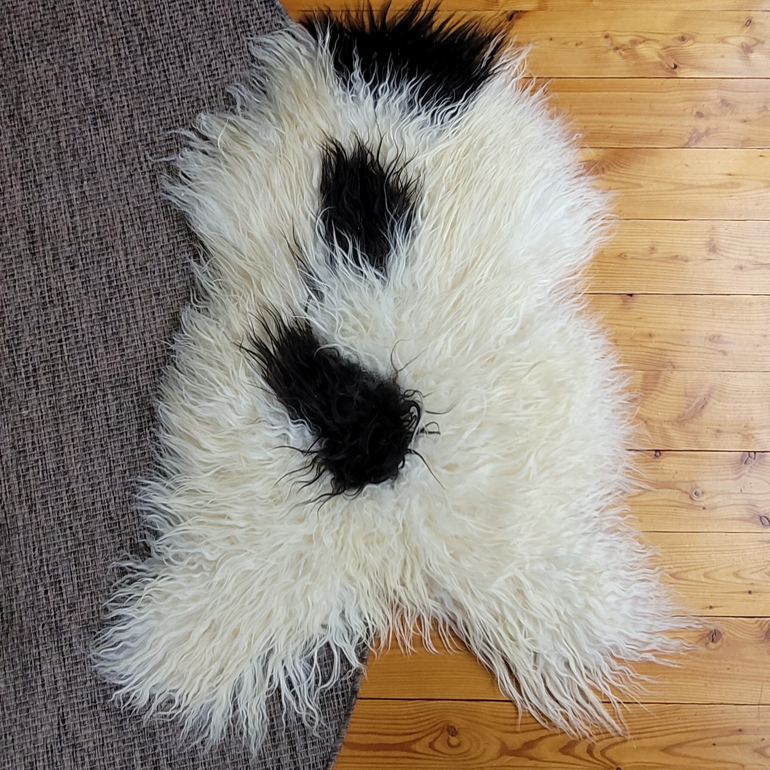 Soft Curly Ecru Spotted Icelandic Sheepskin 48″ × 34″ - Image 2