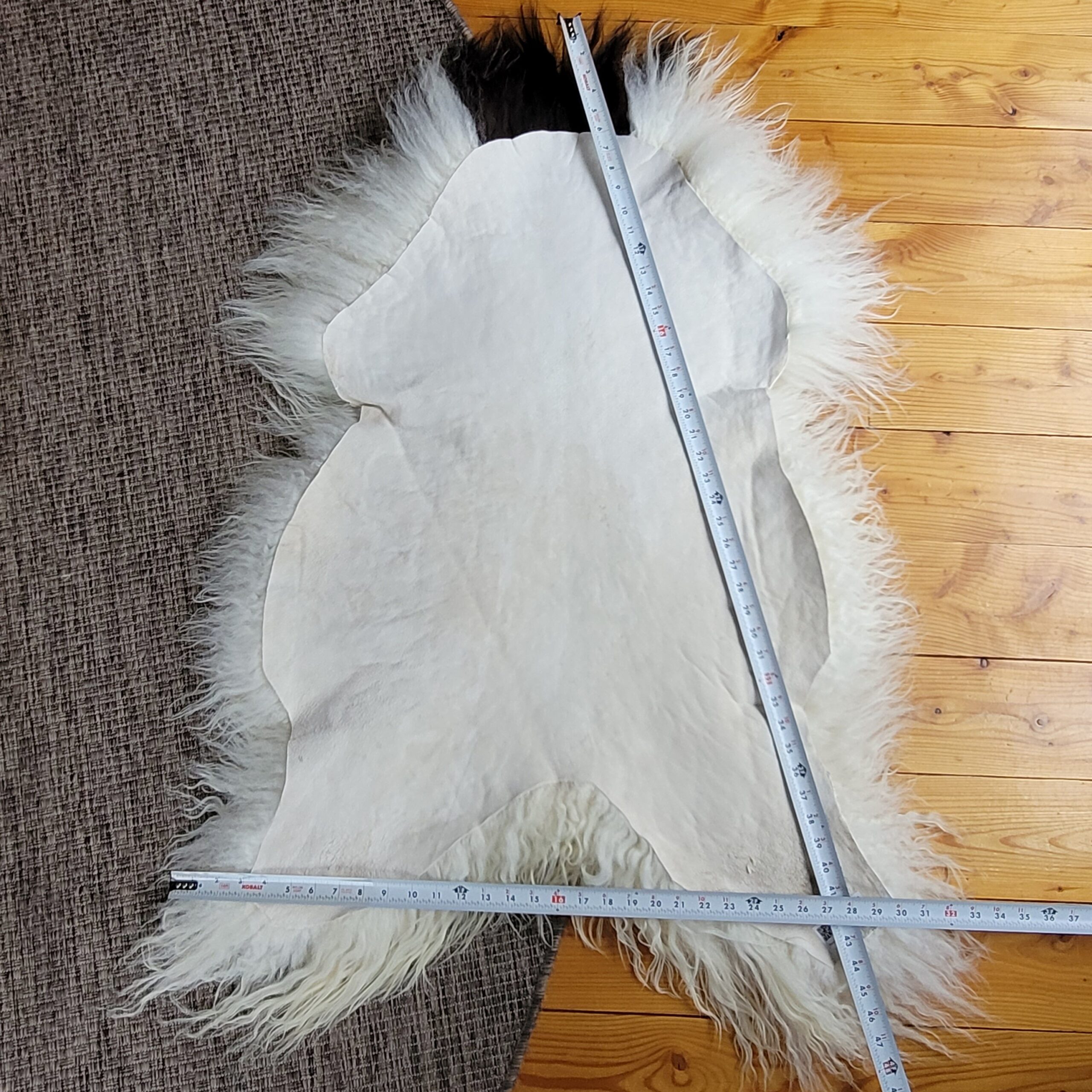Soft Curly Ecru Spotted Icelandic Sheepskin 48″ × 34″ - Image 3