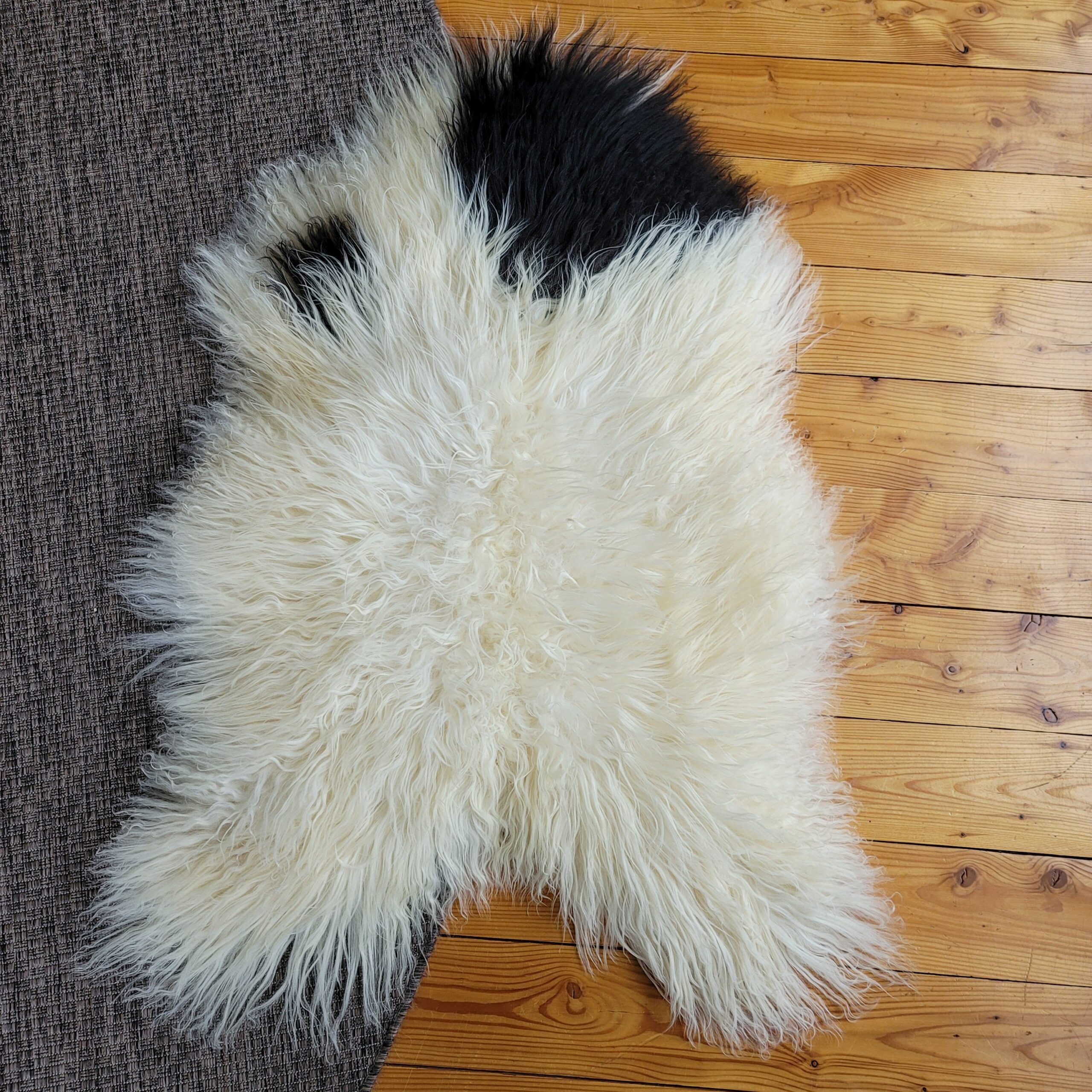Ecru Icelandic Sheepskin with Black Spot 47″ × 33″ - Image 4