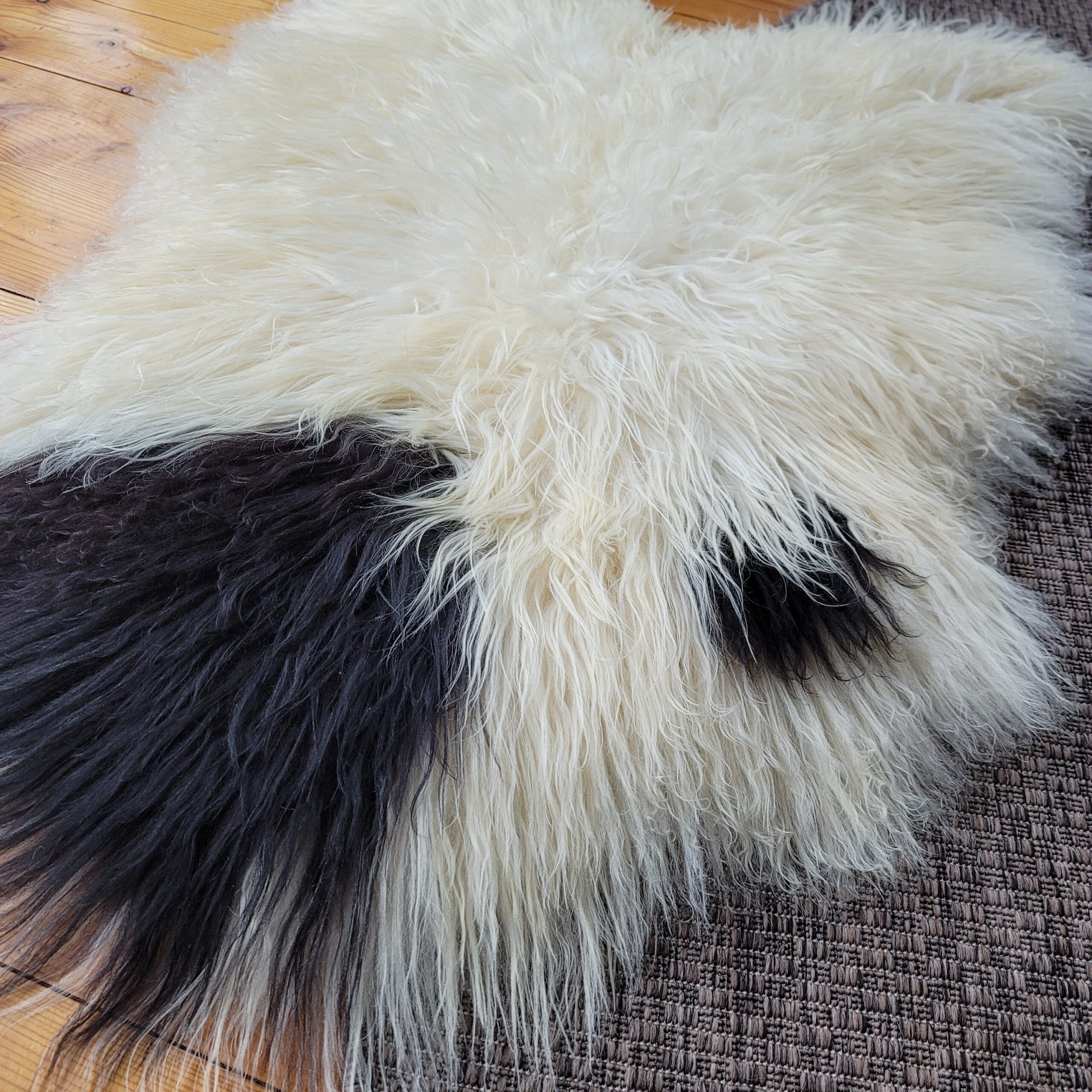 Ecru Icelandic Sheepskin with Black Spot 47″ × 33″