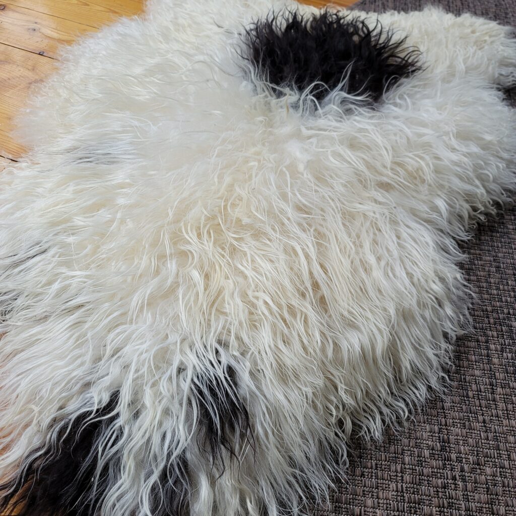 Lofty Ecru Spotted Icelandic Sheepskin Rug 48″ × 32″