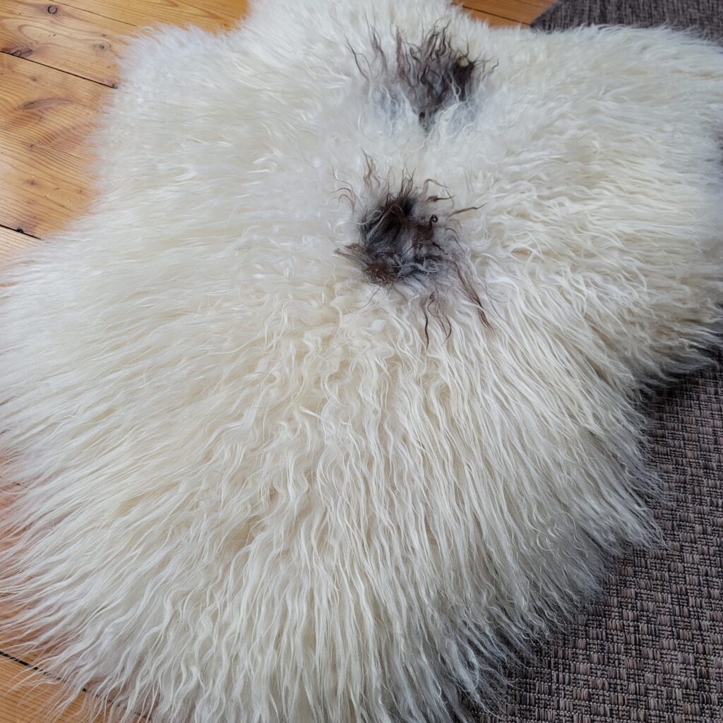 Ecru Icelandic Sheepskin with Gray-Brown Spots 45″ × 33″