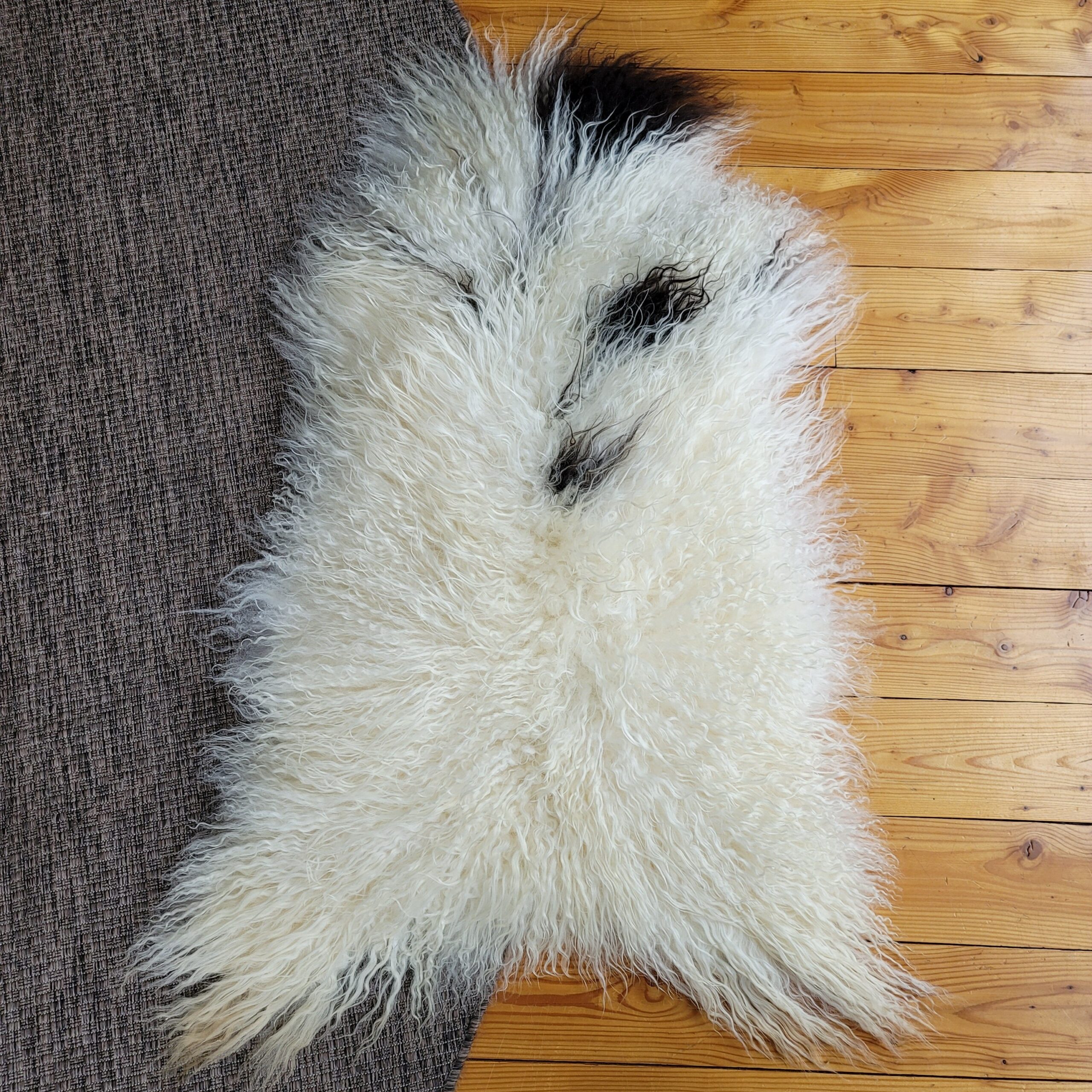 Highly Textured Ecru & Brown Spotted Icelandic Sheepskin 49″ × 31″ - Image 3
