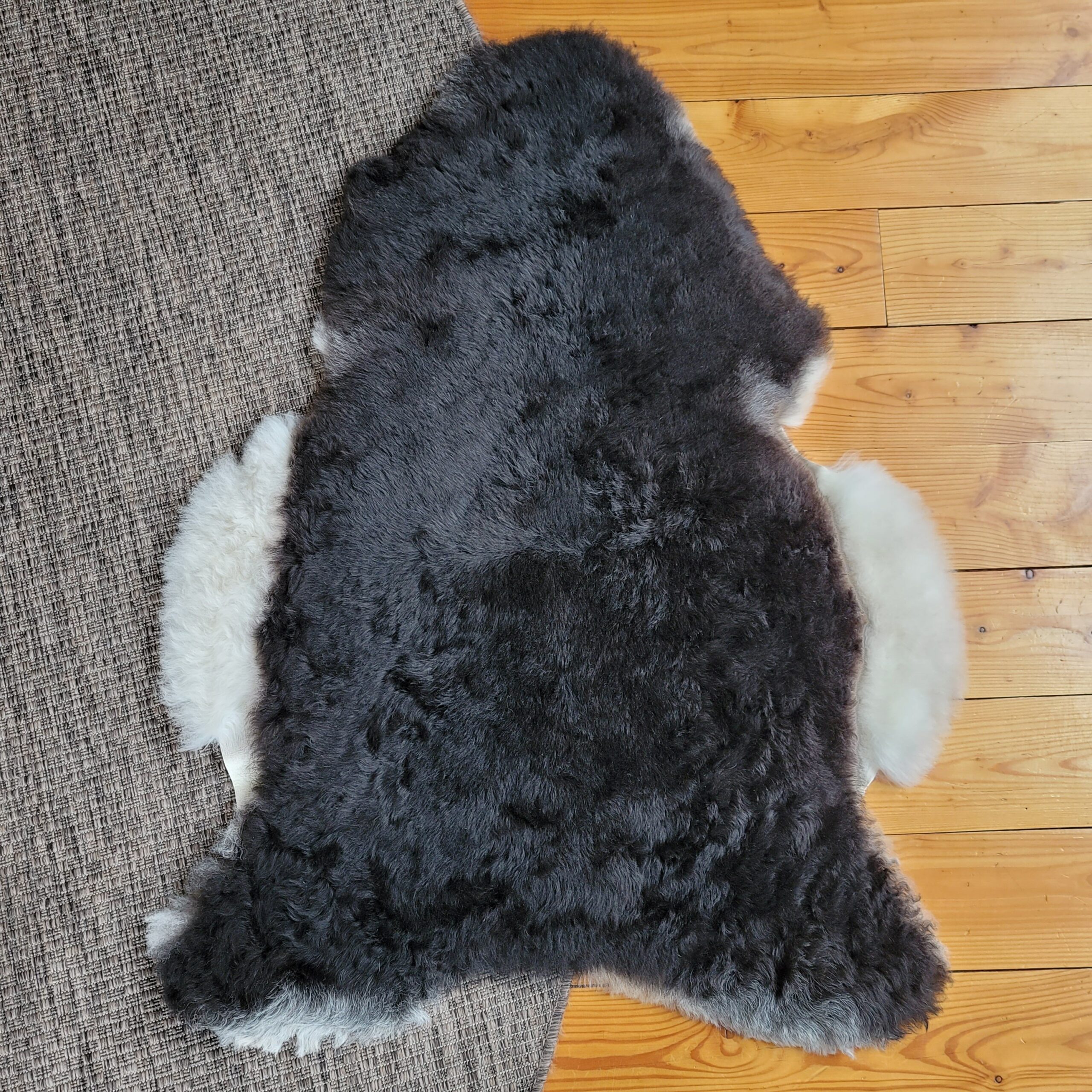 Natural Black-Brown Icelandic Lambskin Rug or Throw 42″ × 32″ - Image 3