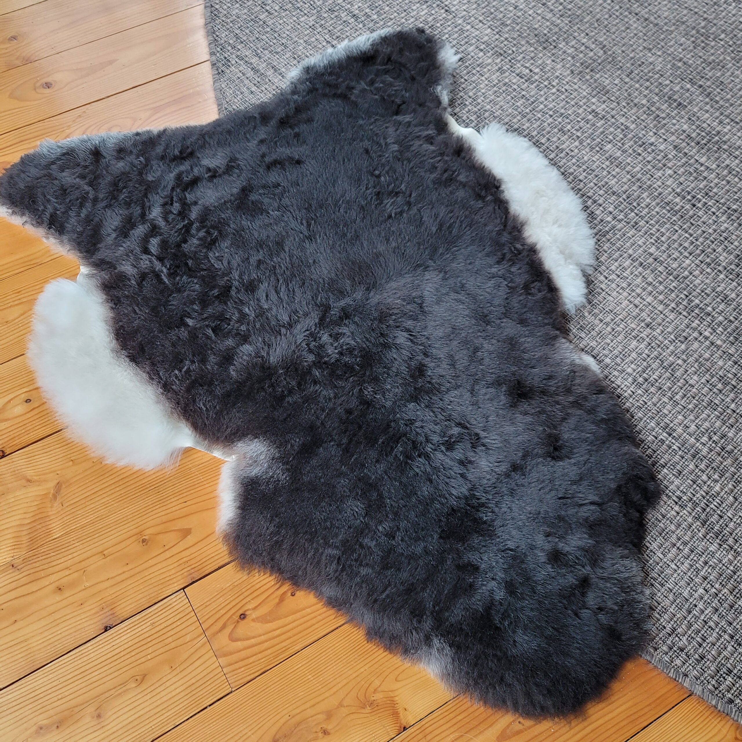 Natural Black-Brown Icelandic Lambskin Rug or Throw 42″ × 32″ - Image 4