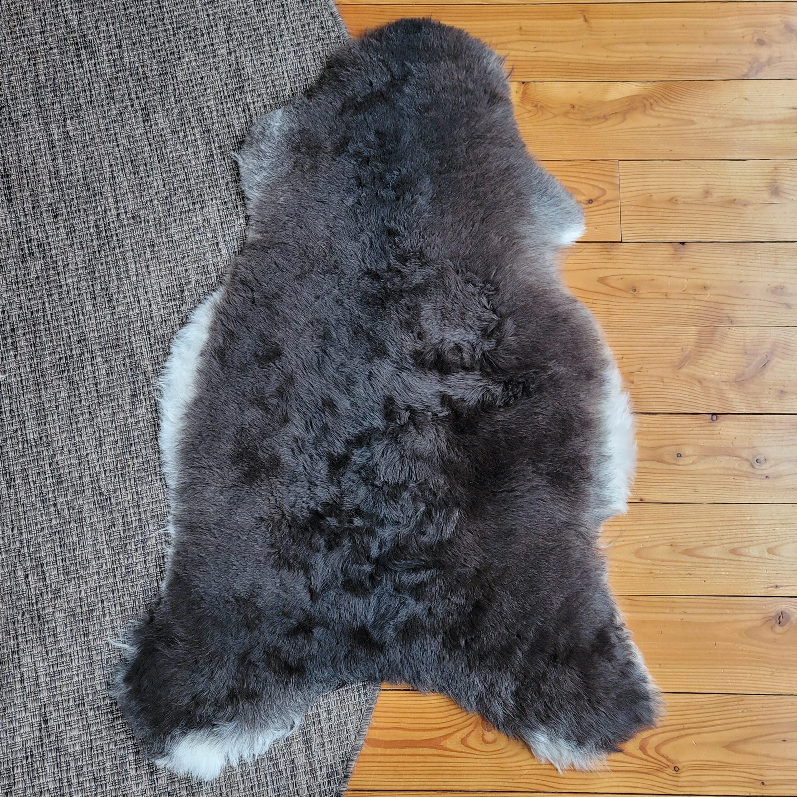 Black-Brown Icelandic Lambskin with Gray Undertones 45″ × 28″ - Image 4