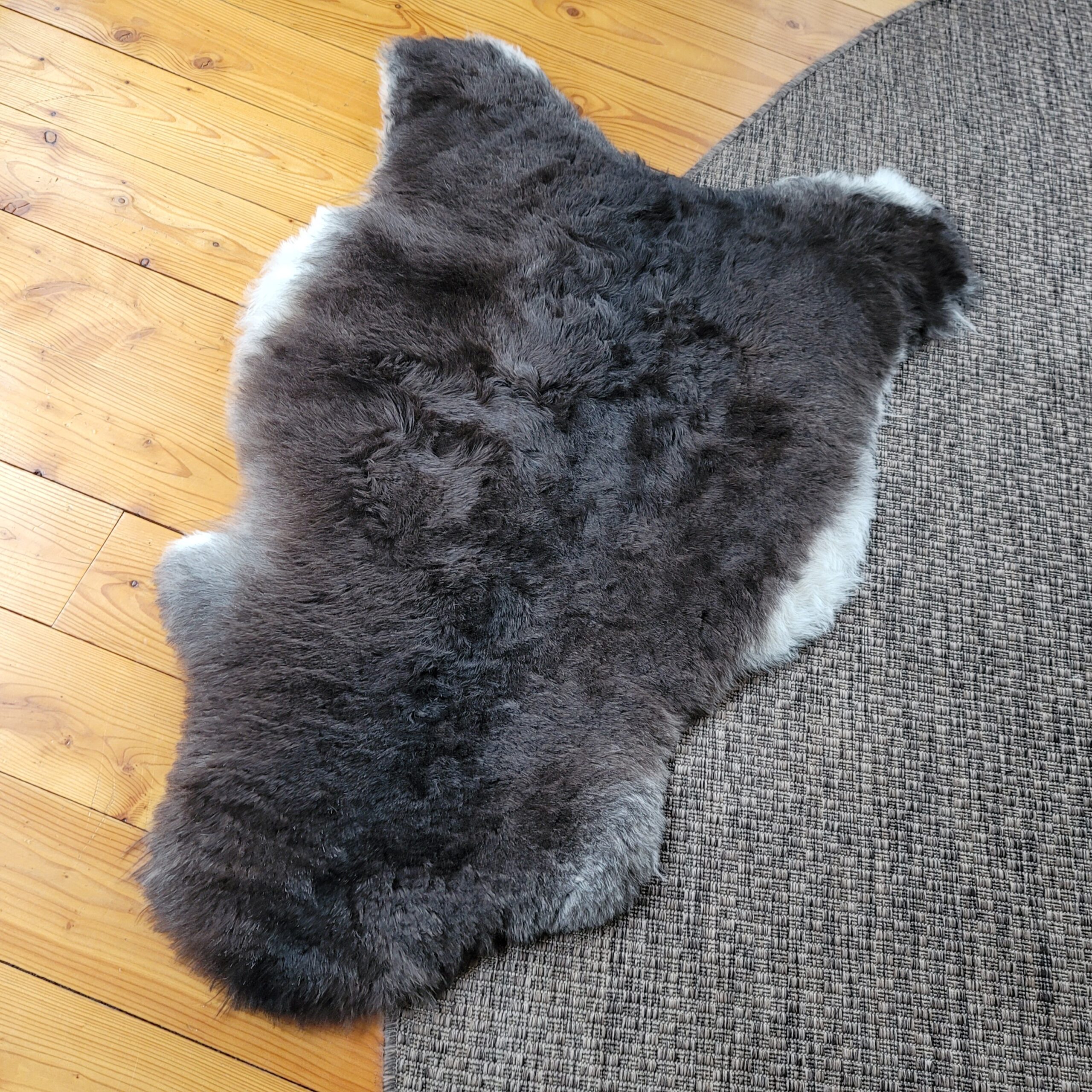 Black-Brown Icelandic Lambskin with Gray Undertones 45″ × 28″ - Image 3