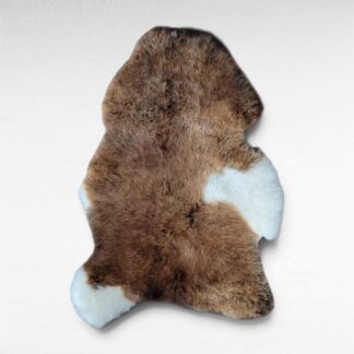 Rare Copper Brown & White Shorn Icelandic Sheepskin Spotted Copper & White 45″ × 29″