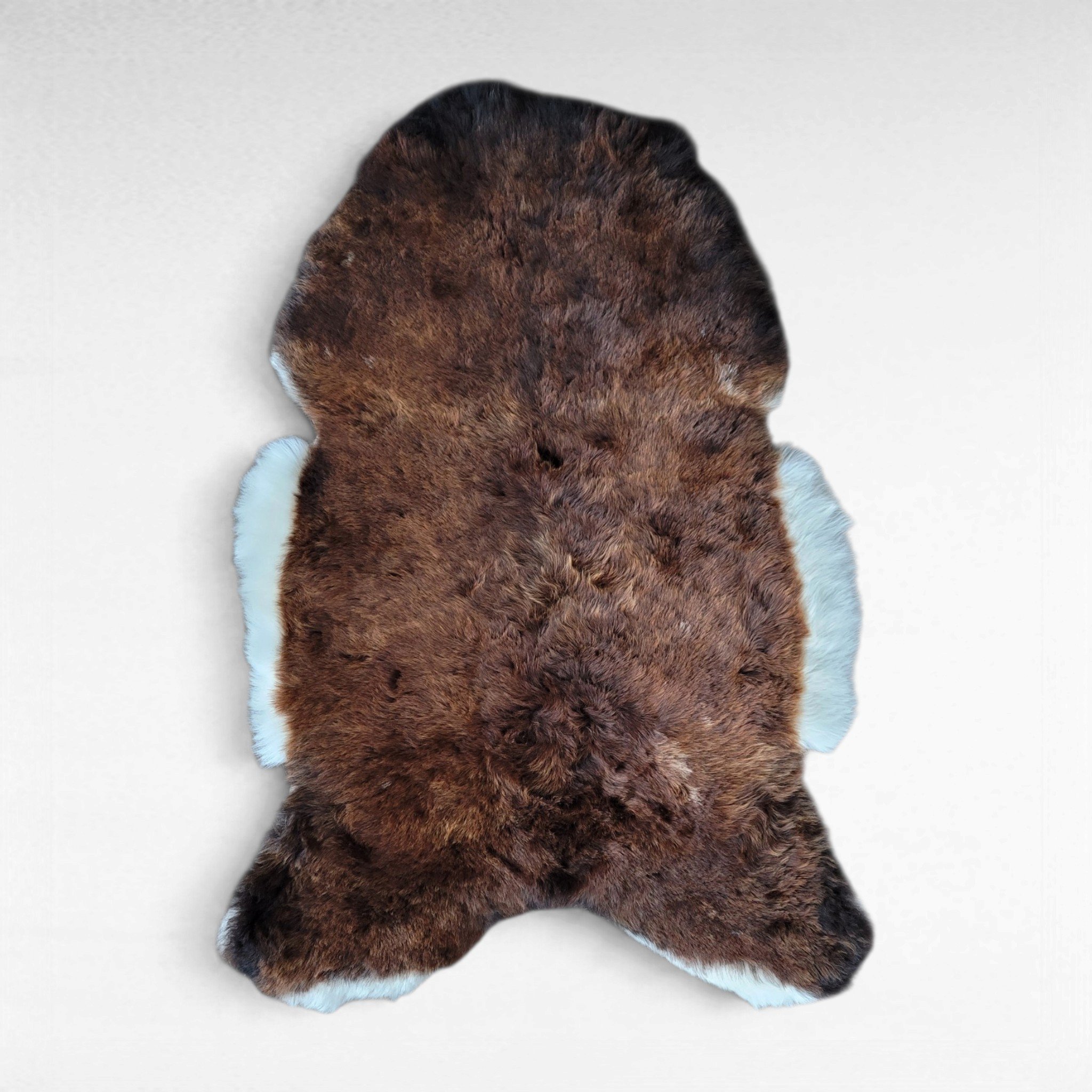 Rare Copper Brown & White Shorn Icelandic Sheepskin Deep Mahogany & White 44″ × 31″ - Image 2