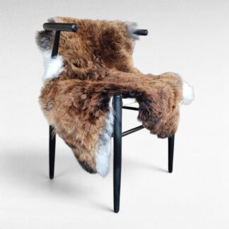 Rare Copper Brown & White Shorn Icelandic Sheepskin Supple with Soft Curl 45″ × 33″