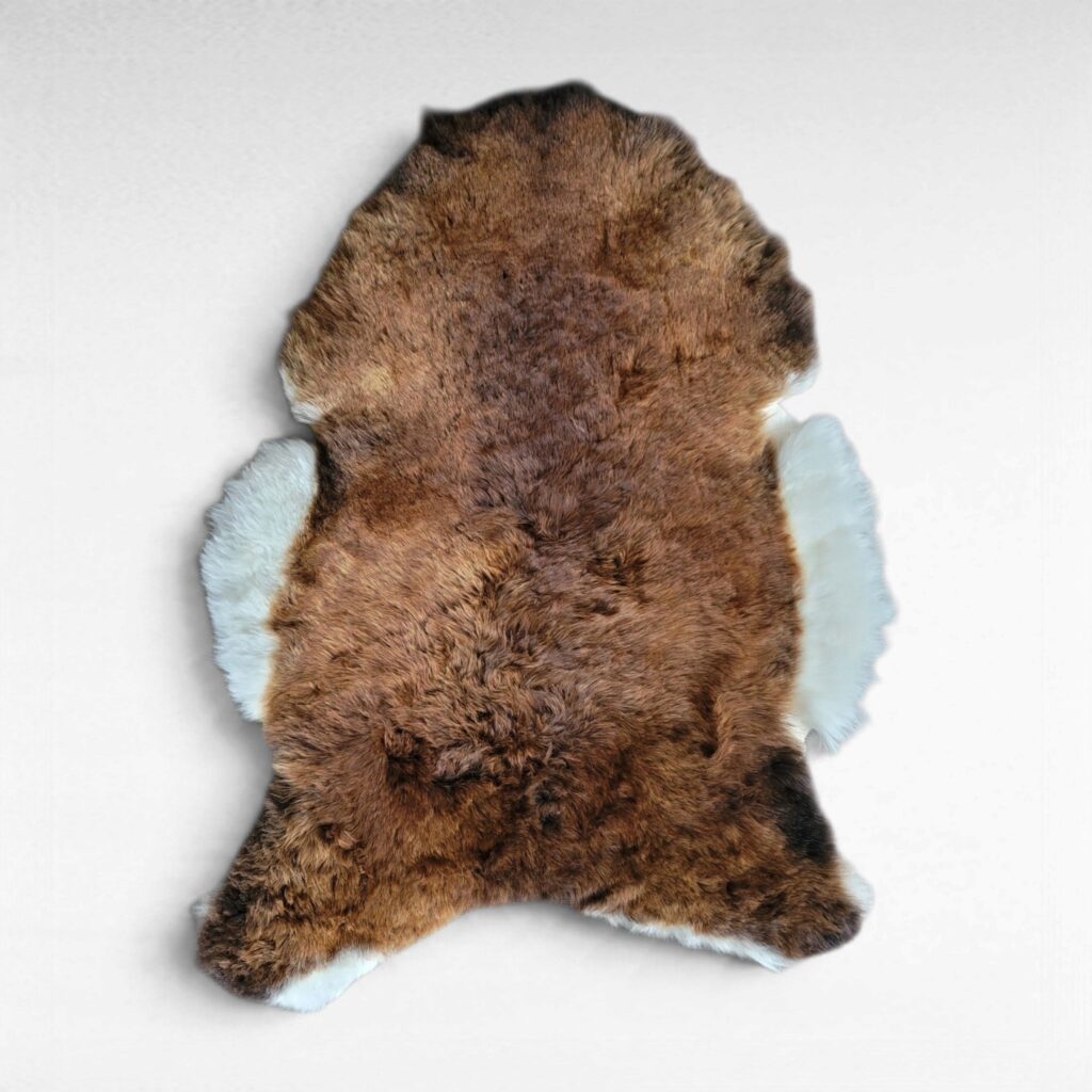 Rare Copper Brown & White Shorn Icelandic Sheepskin Naturally Varied Copper 45″ × 31″