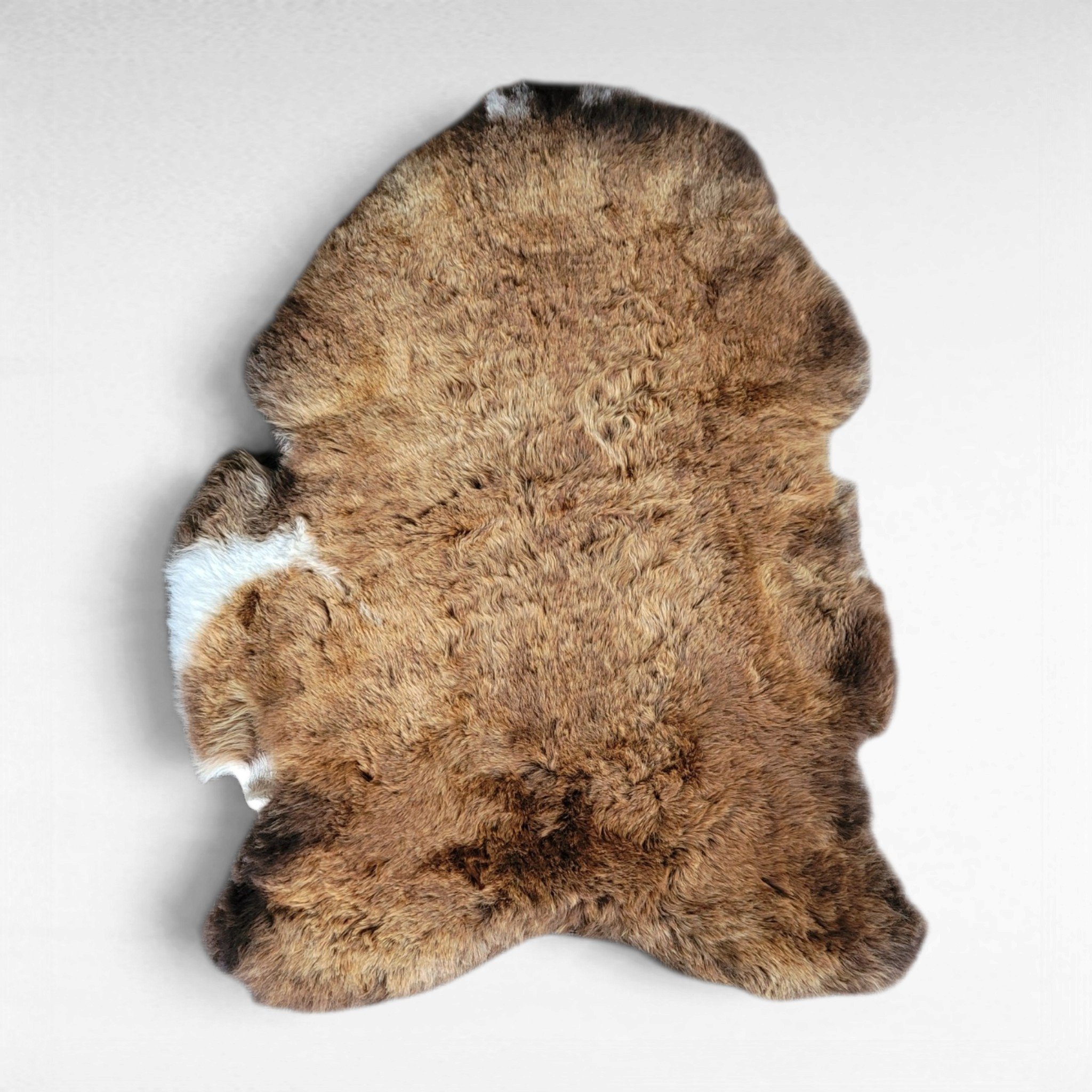 Rare Copper Brown & White Shorn Icelandic Sheepskin Warm Copper & White 43″ × 32″ - Image 3