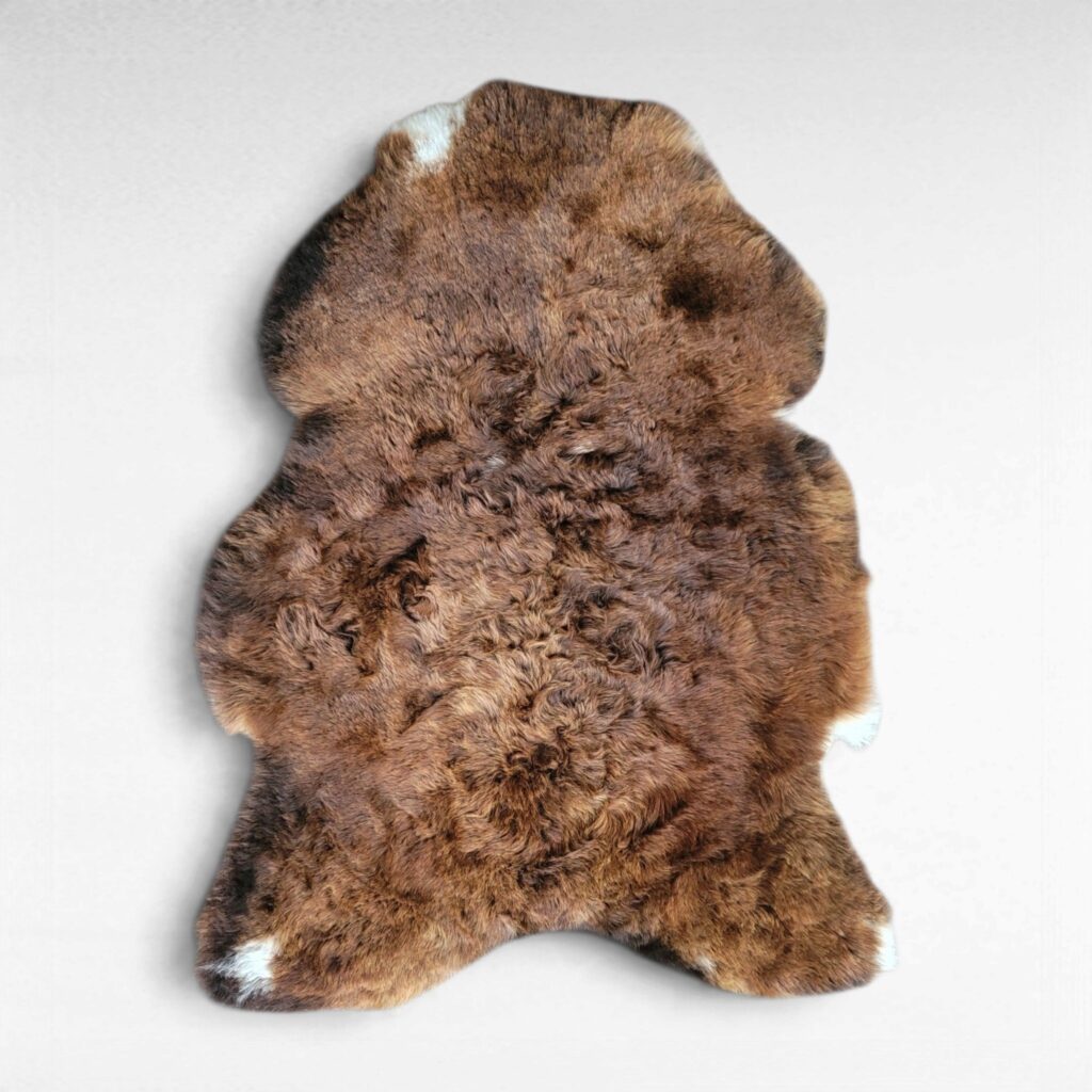 Rare Copper Brown & White Shorn Icelandic Sheepskin – Beautiful Shape 44″ × 34″