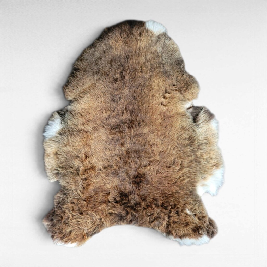 Rare Copper Brown & White Shorn Icelandic Sheepskin Natural Copper Tones 43″ × 32″