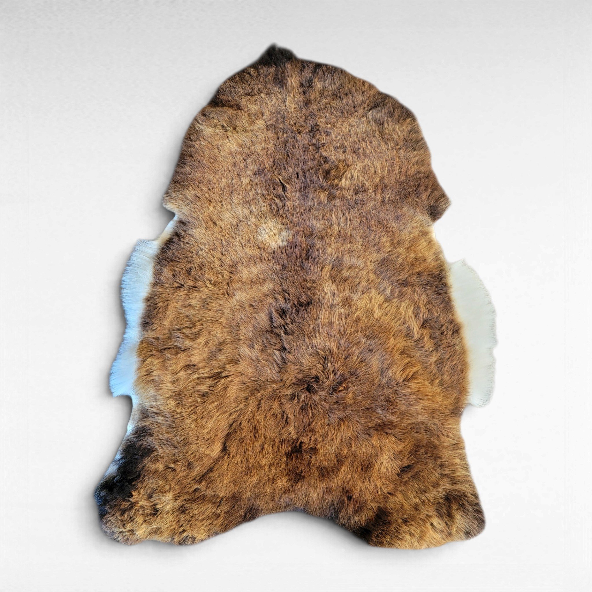 Rare Bright Copper & White Shorn Icelandic Sheepskin 44″ × 32″ - Image 3
