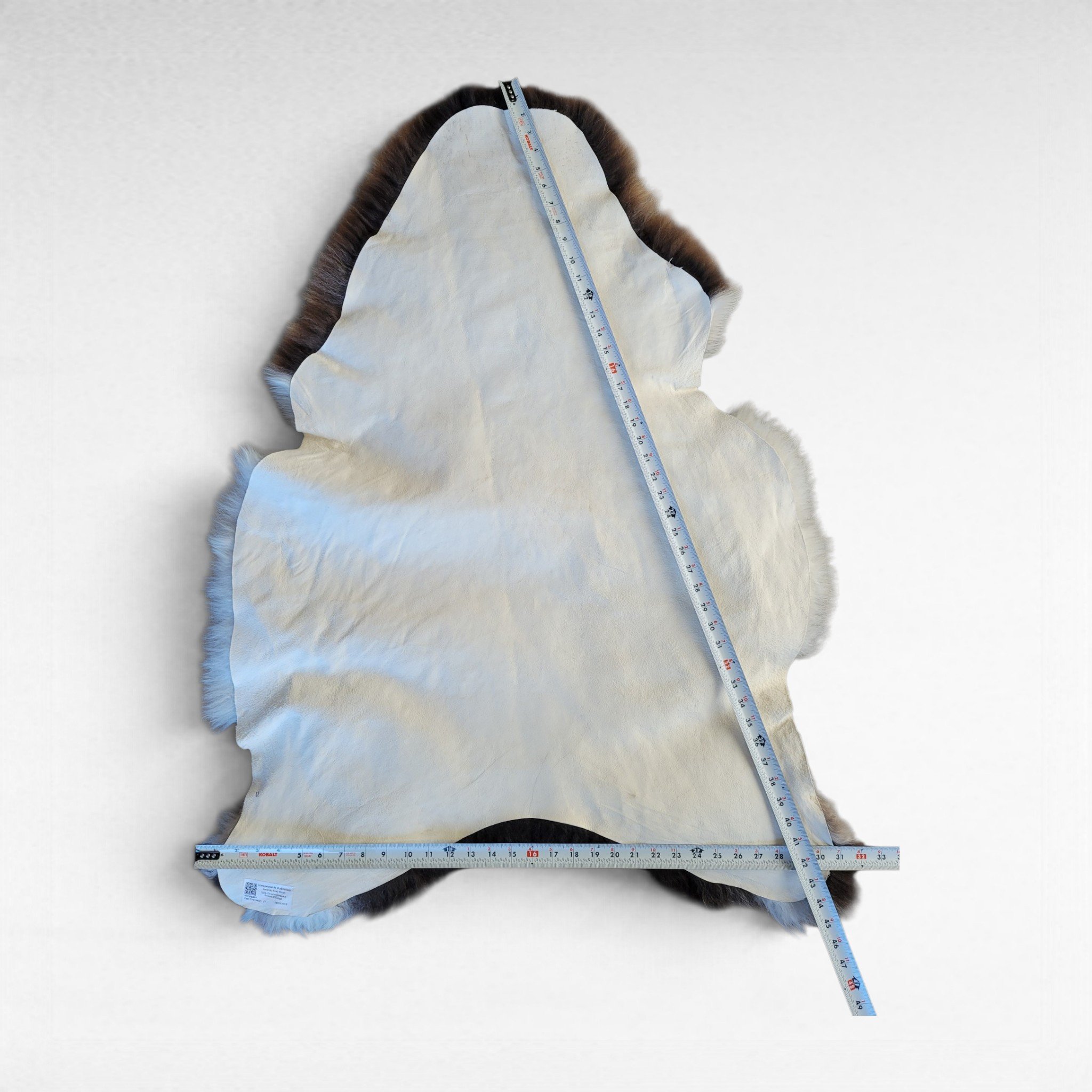 Rare Copper, Gray & White Shorn Icelandic Sheepskin 45″ × 32″ - Image 4