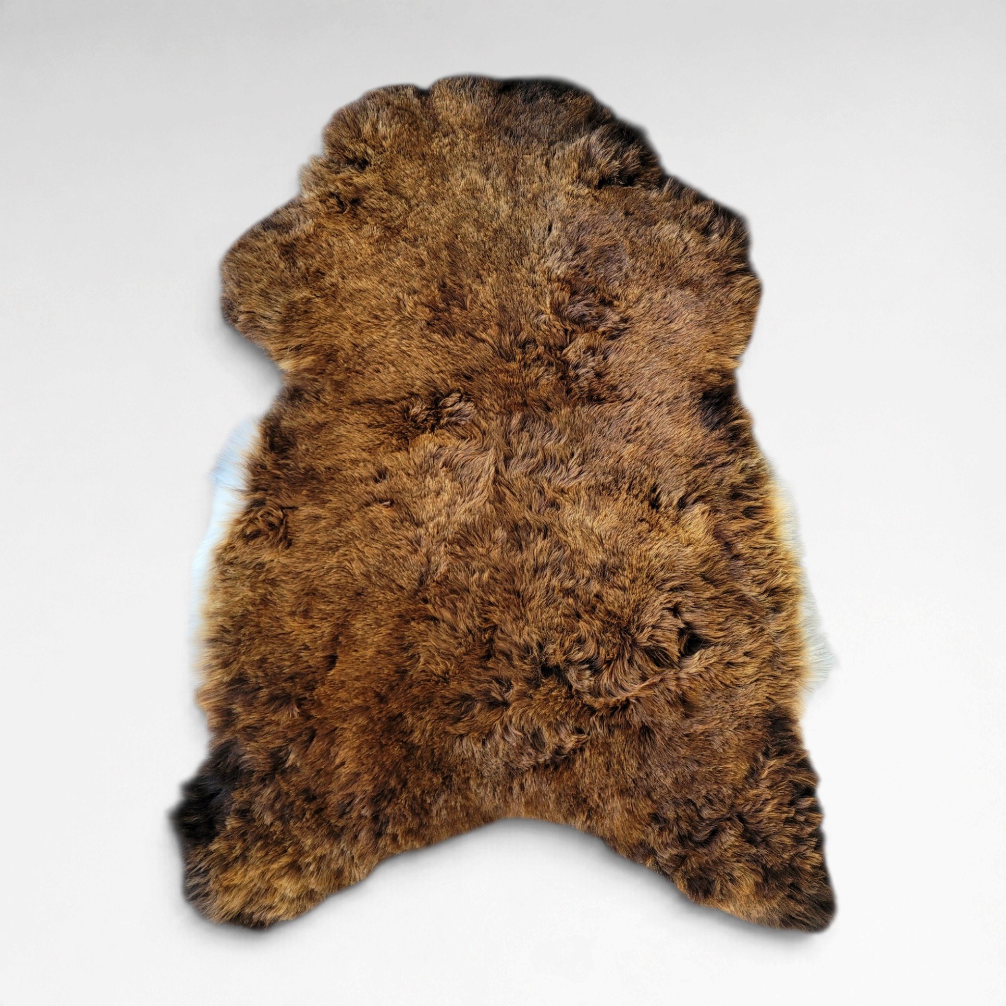 Rare Deep Copper & White Shorn Icelandic Sheepskin 44″ × 32″ - Image 2