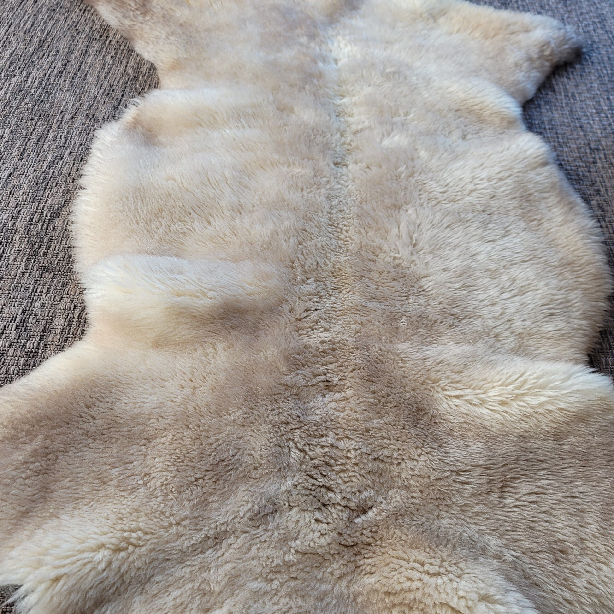 Rare Light Tan Short Fur German Sheepskin Hide 46" x 32" - Image 4