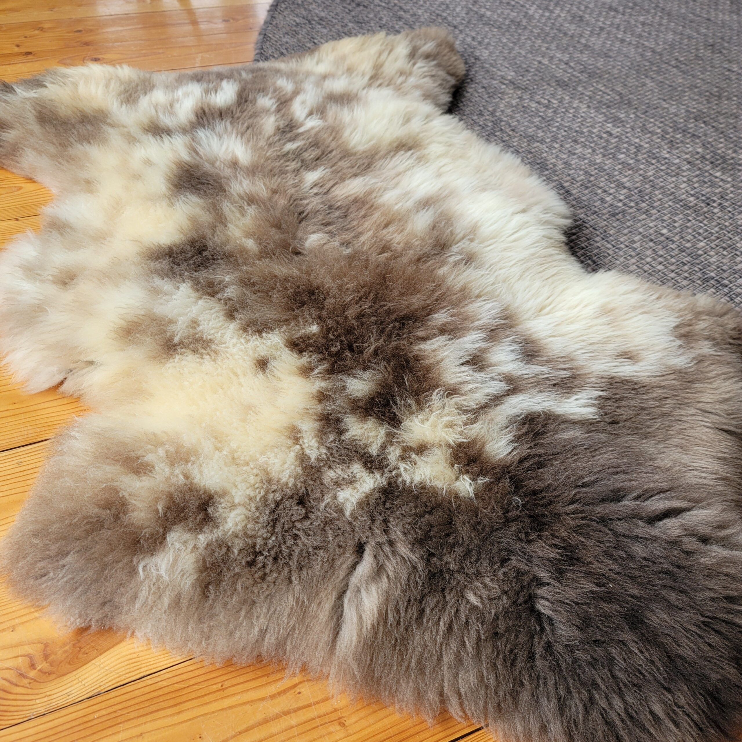 Rare German Sheepskin – Natural Organic Hide – 48" × 34" - Image 3