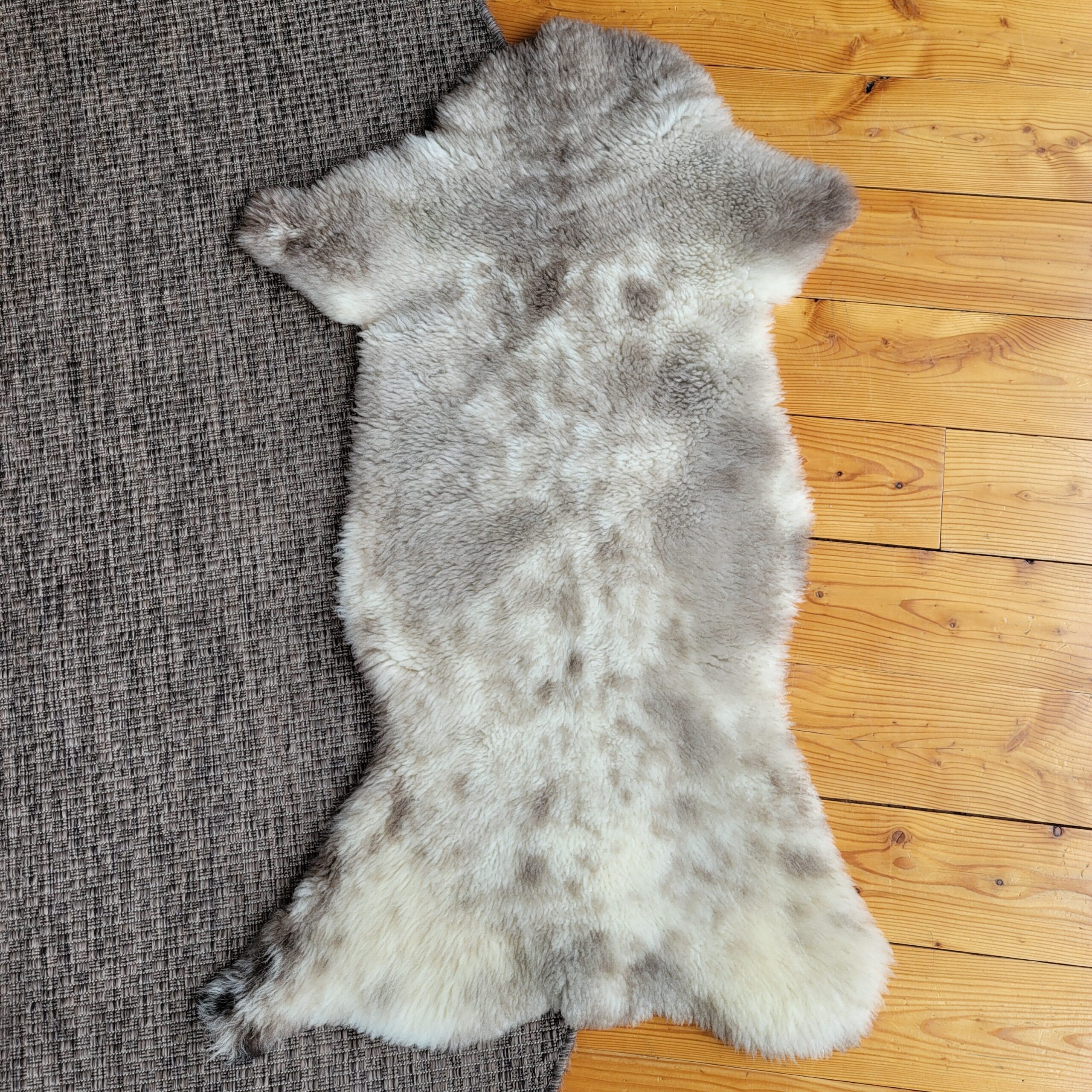 Rare German Sheepskin – Narrow Shape & Dense Fleece – 43" × 26" - Image 4
