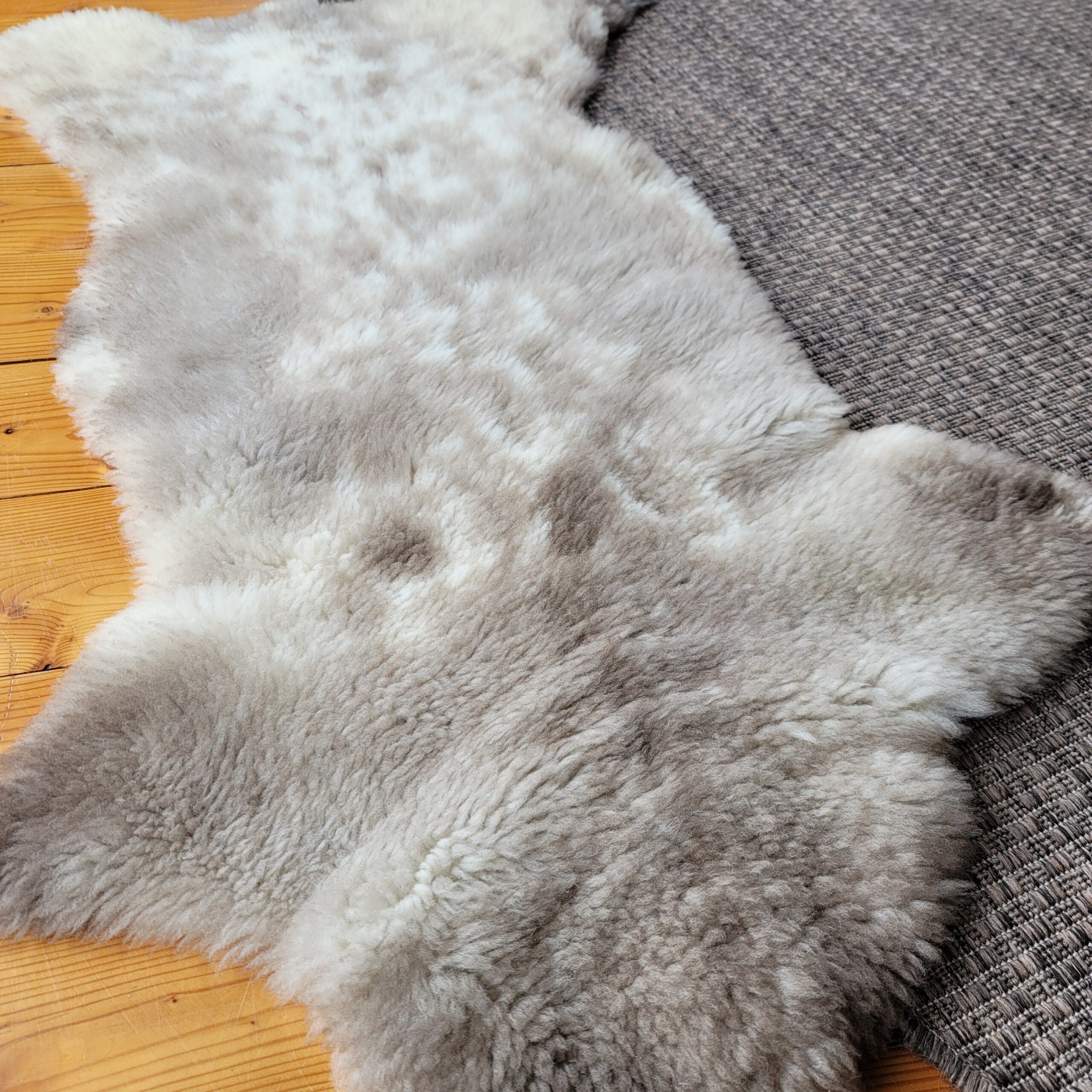 Rare German Sheepskin – Narrow Shape & Dense Fleece – 43" × 26" - Image 3