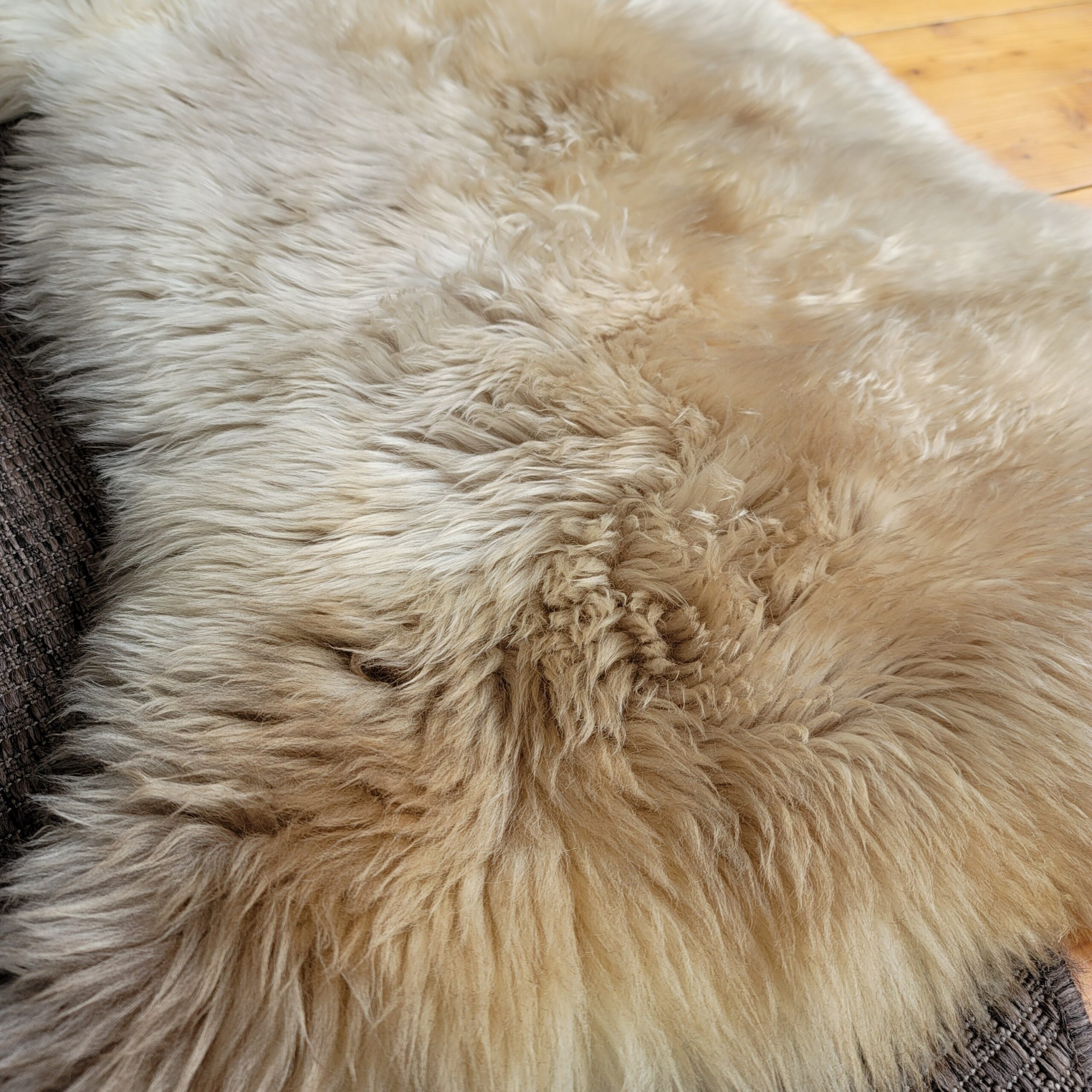 Rare German Sheepskin – Silky Wool & Supple Backing – 47" × 34" - Image 3