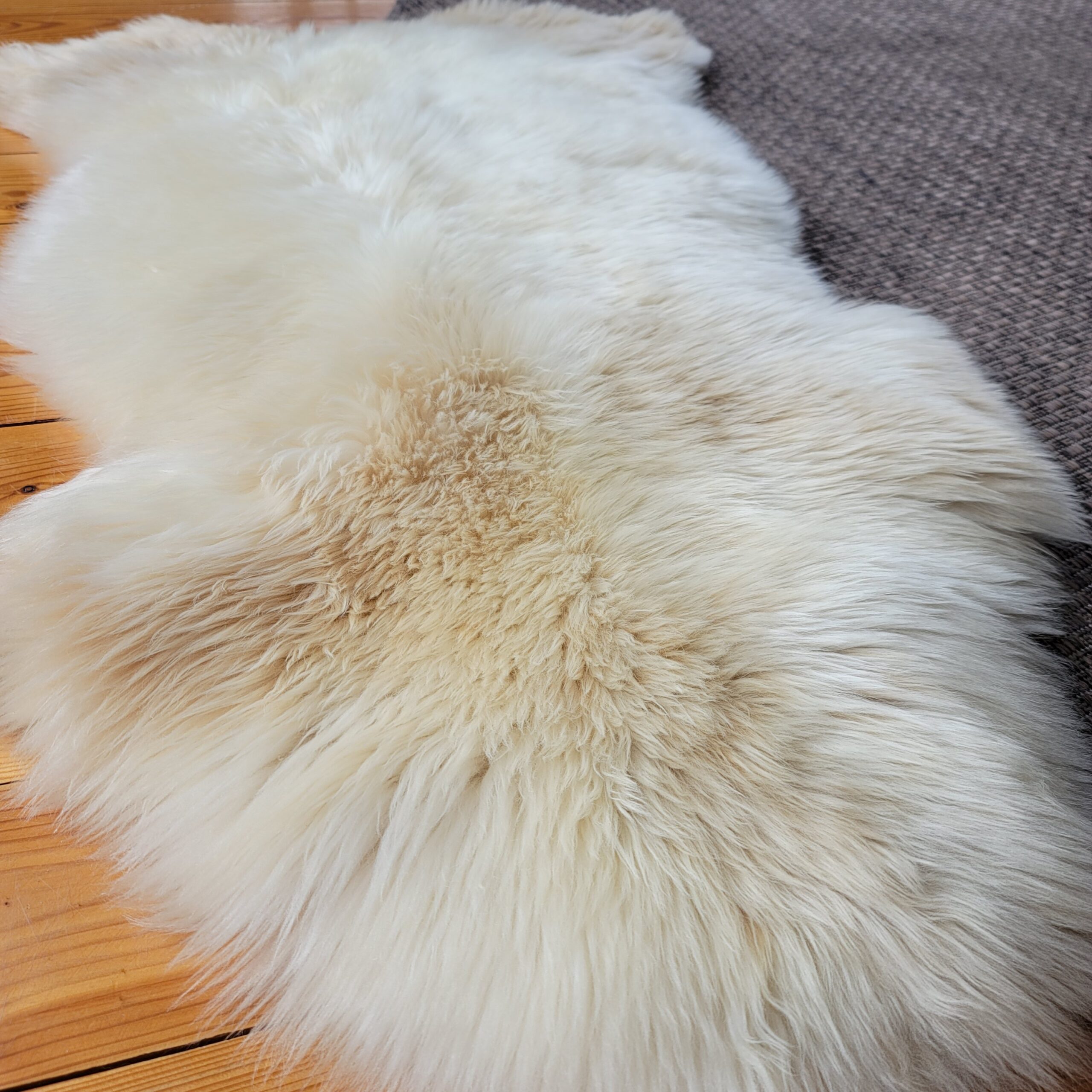 Rare German Sheepskin – Silky-Soft Plush Fleece – 44" × 28" - Image 3