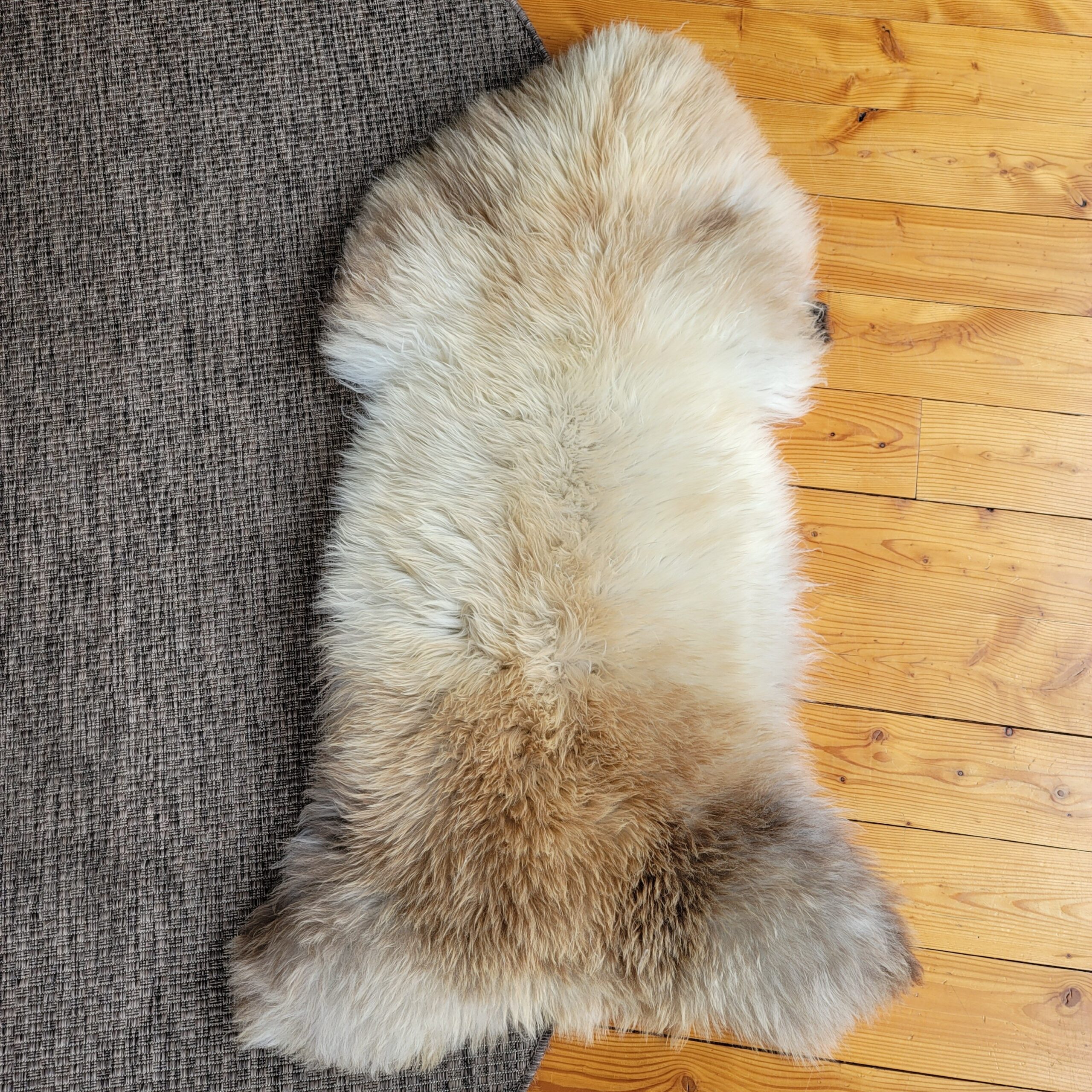 Rare German Sheepskin – Exceptionally Plush, Silky Wool – 50" × 29" - Image 2