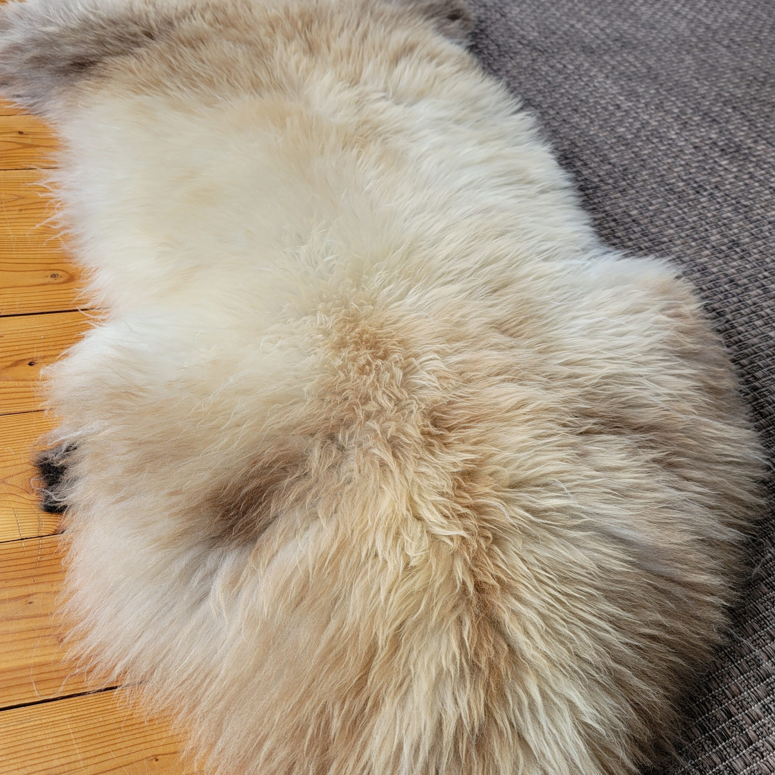 Rare German Sheepskin – Exceptionally Plush, Silky Wool – 50" × 29" - Image 3