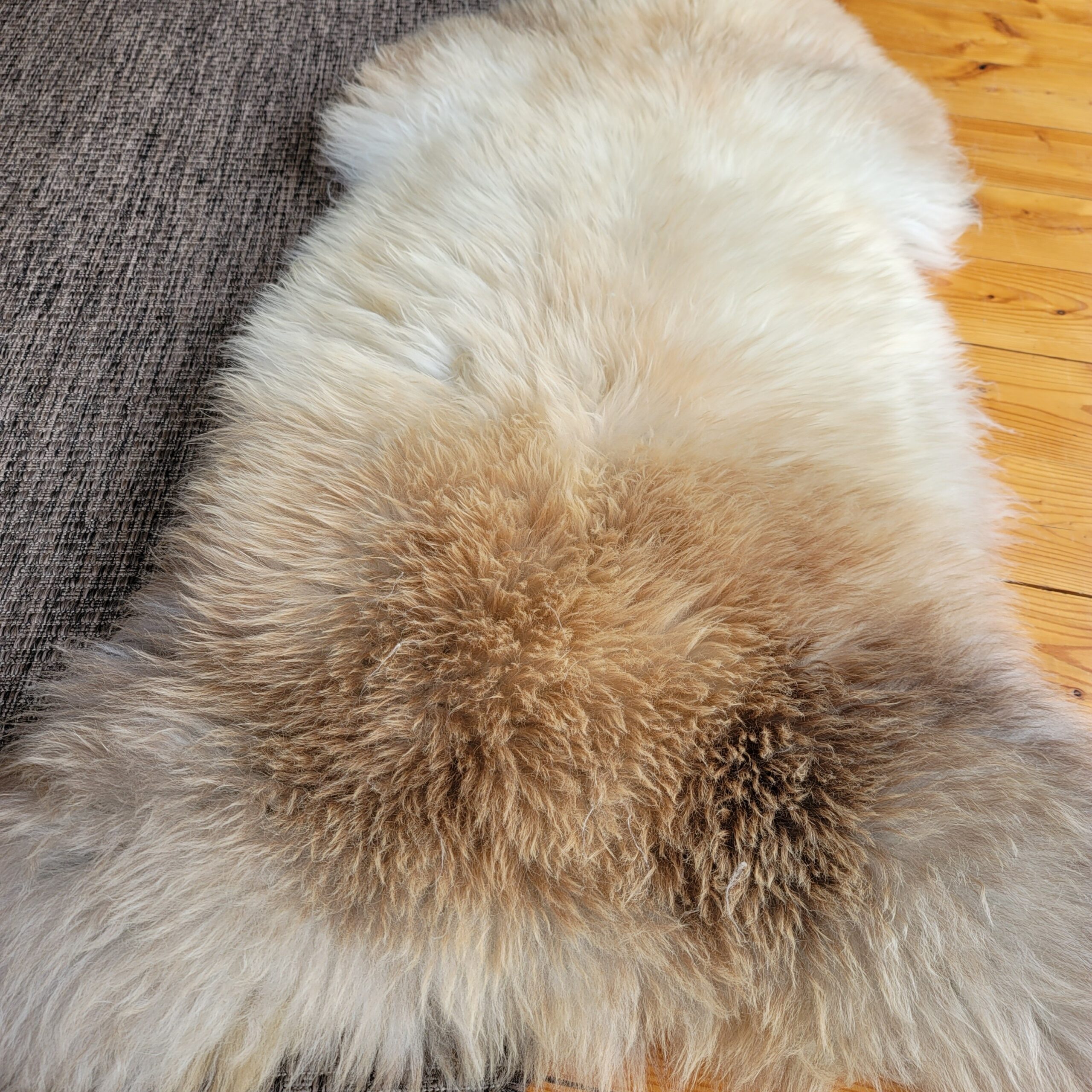 Rare German Sheepskin – Exceptionally Plush, Silky Wool – 50" × 29" - Image 4