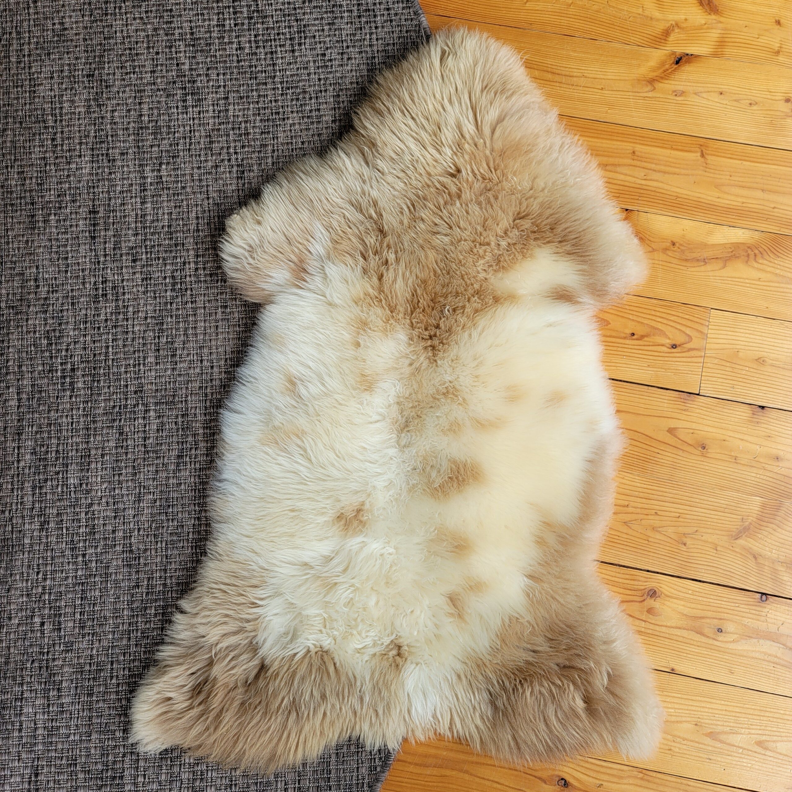 Rare German Sheepskin – Lush, Plush Wool – 44" × 28" - Image 4