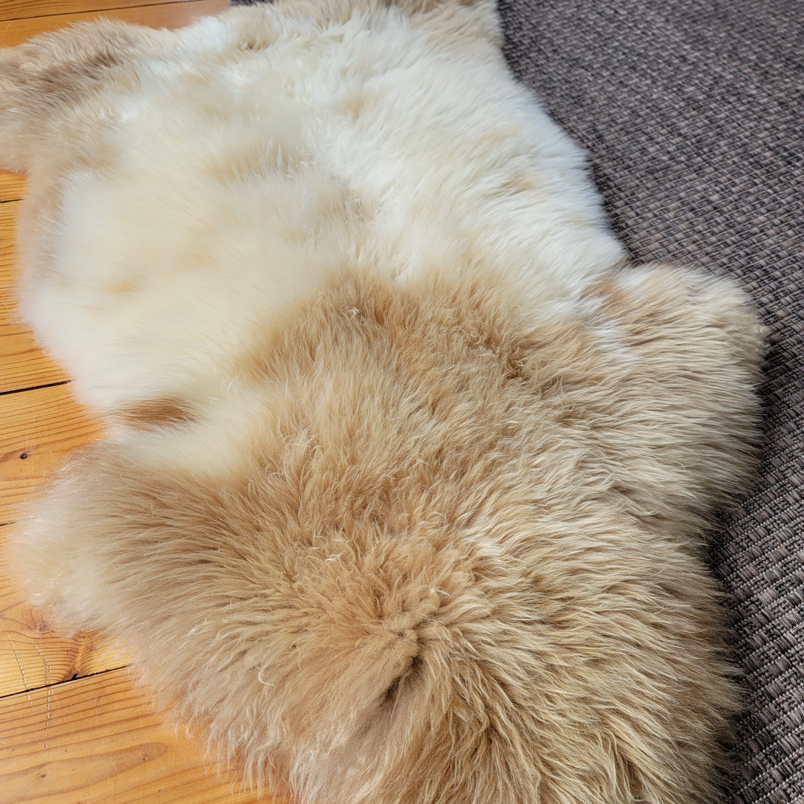 Rare German Sheepskin – Lush, Plush Wool – 44" × 28" - Image 3