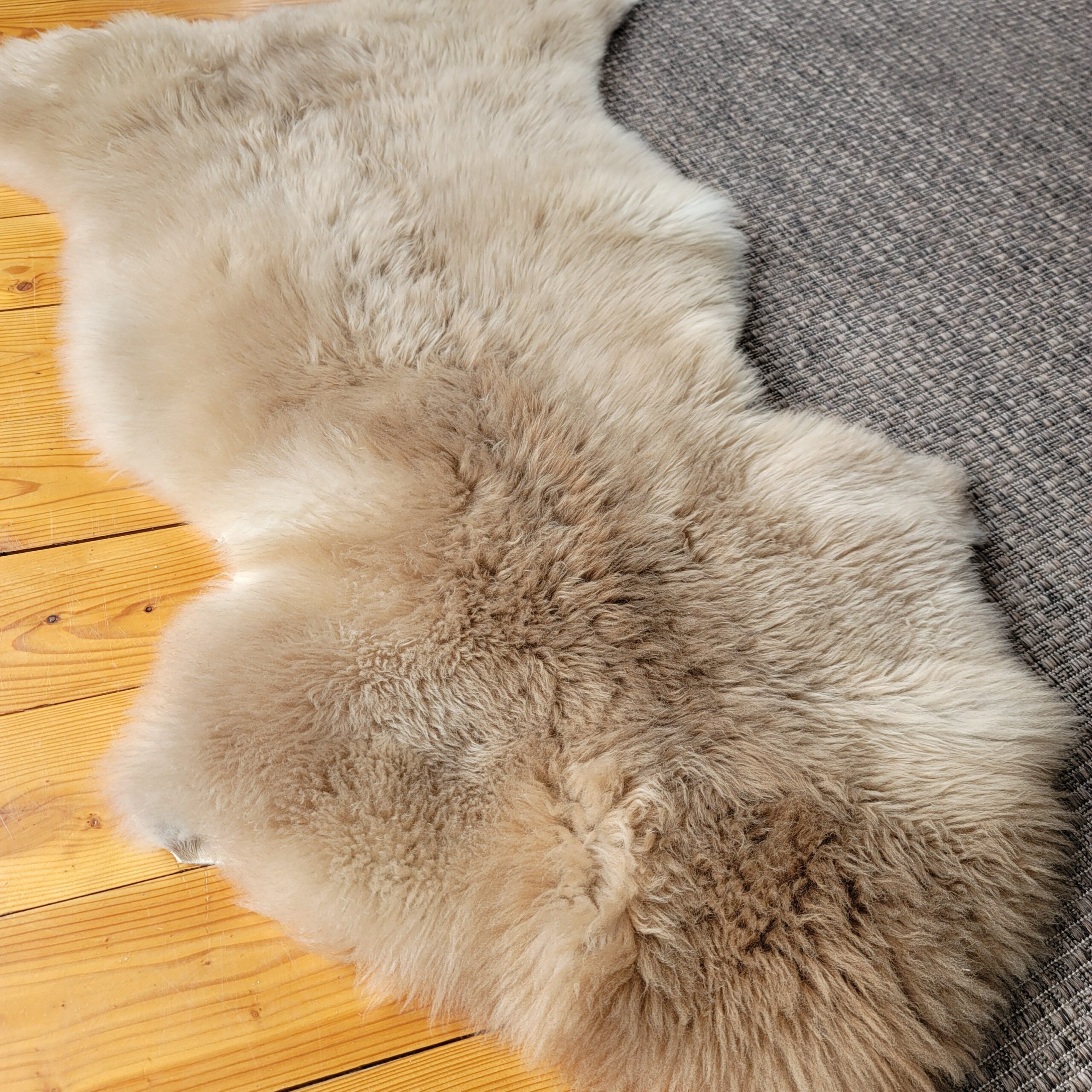 Rare German Sheepskin – Soft Fleece & Supple Hide – 47" × 32" - Image 2