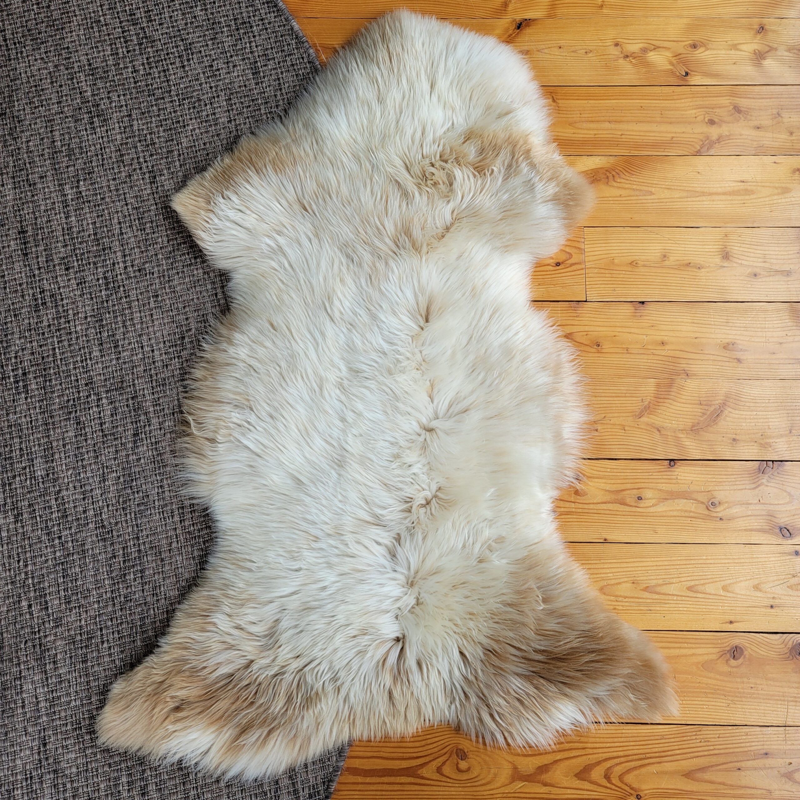 Rare German Sheepskin – Silky-Soft Fleece – 49" × 33" - Image 4
