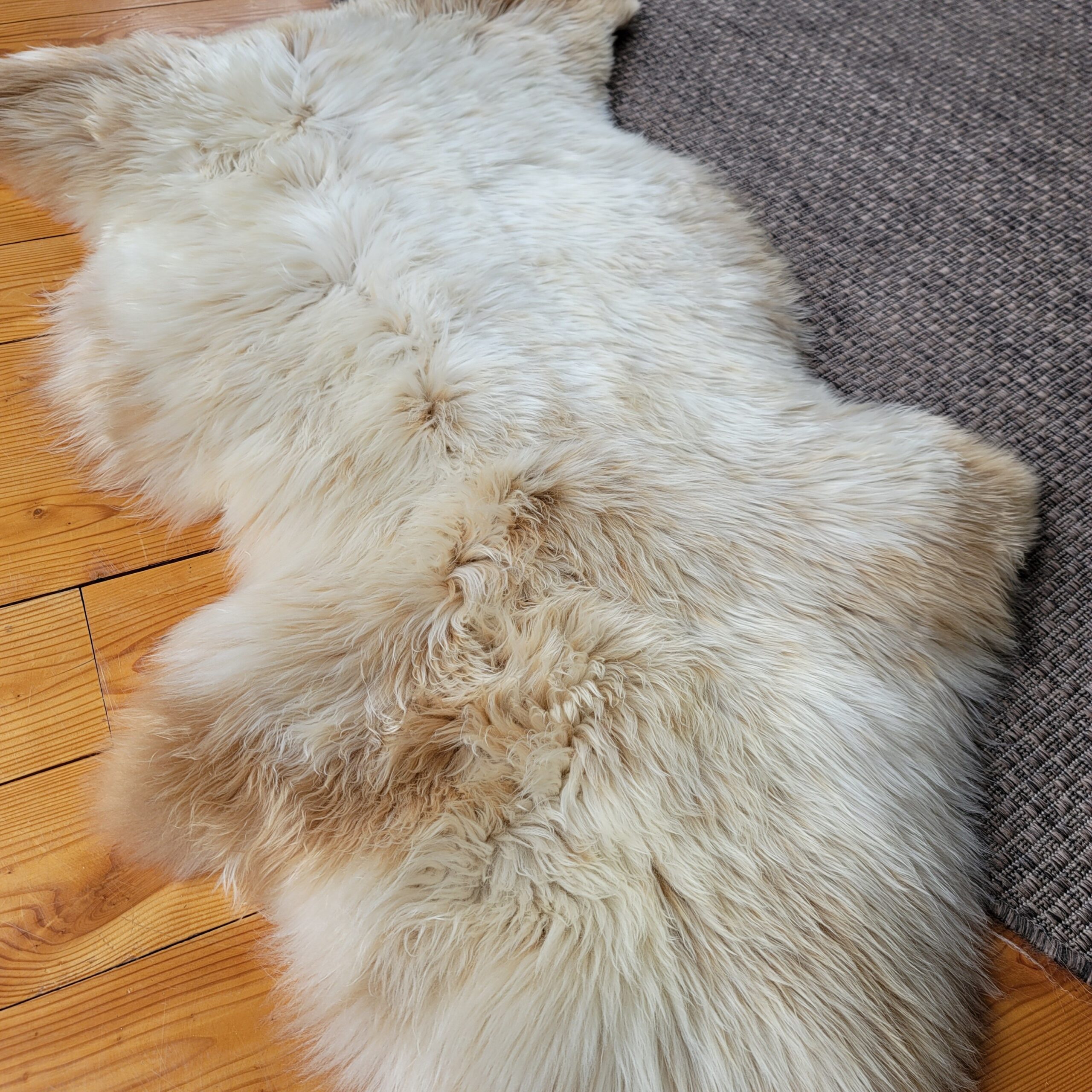 Rare German Sheepskin – Silky-Soft Fleece – 49" × 33" - Image 3