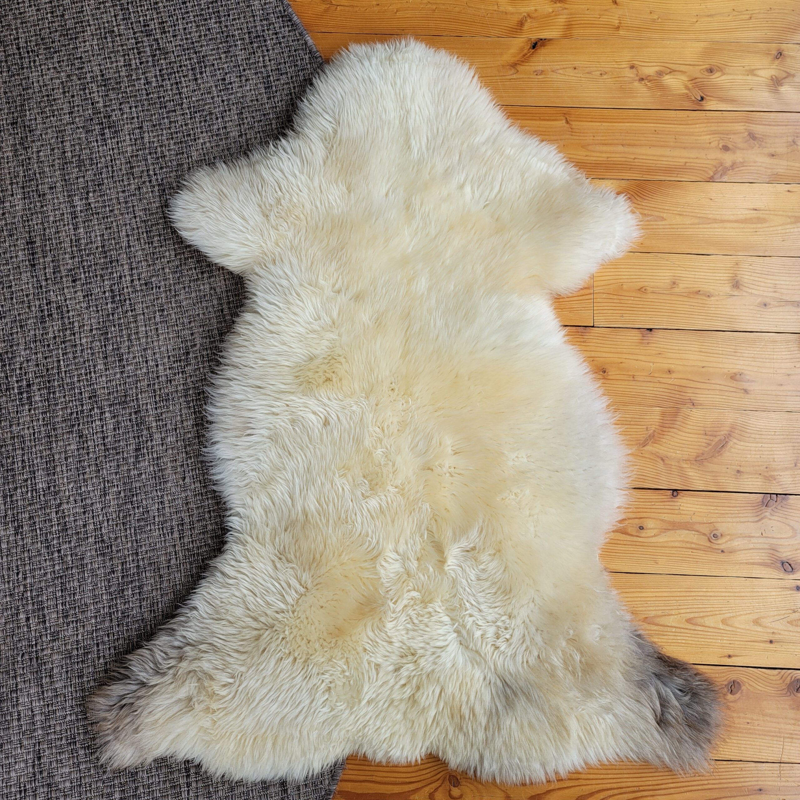 Rare German Sheepskin – Dense Wool & Accent-Rug Shape – 48" × 35" - Image 2