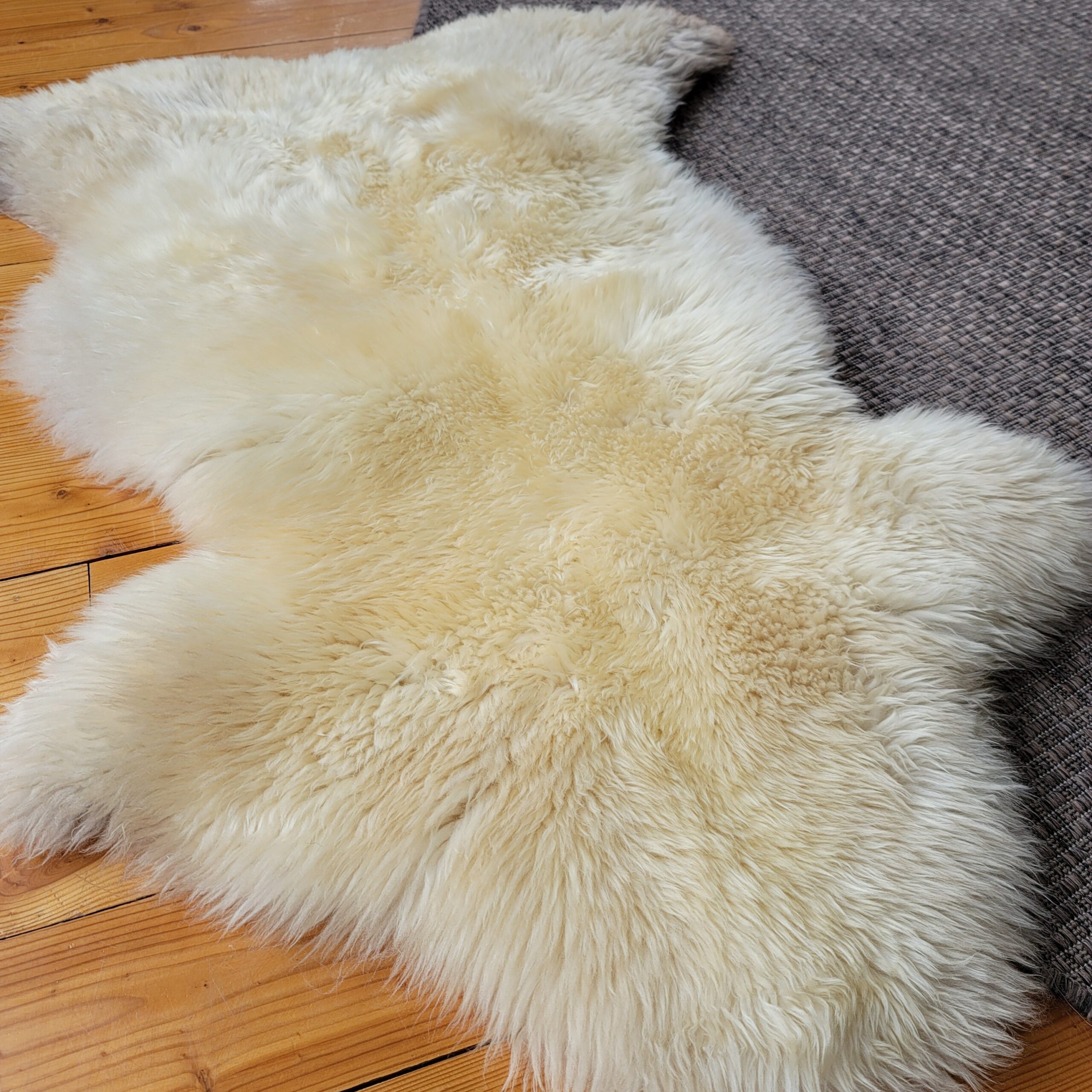 Rare German Sheepskin – Dense Wool & Accent-Rug Shape – 48" × 35" - Image 4