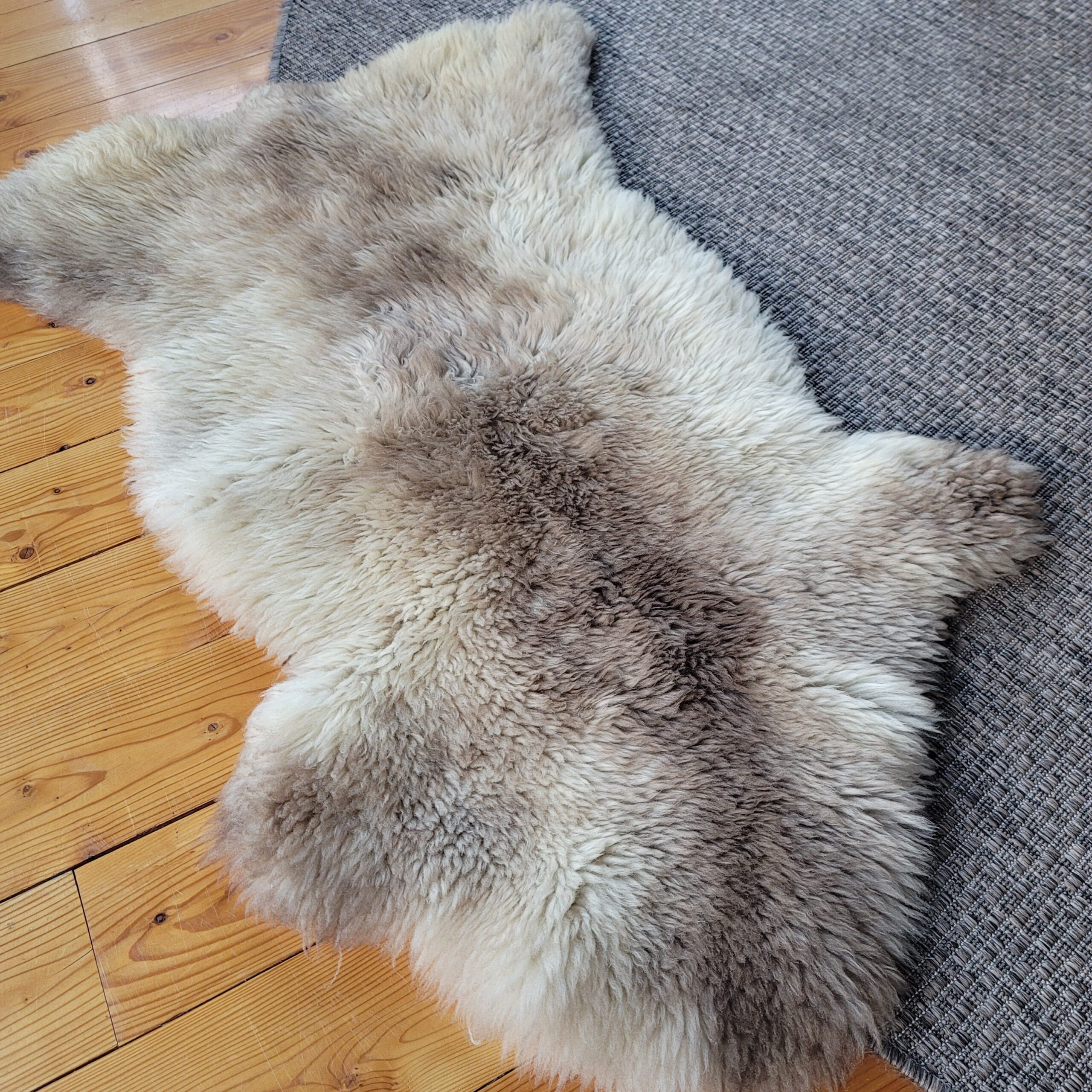 Rare German Sheepskin Natural Tan Rustic Accent 47″ × 32″ - Image 4