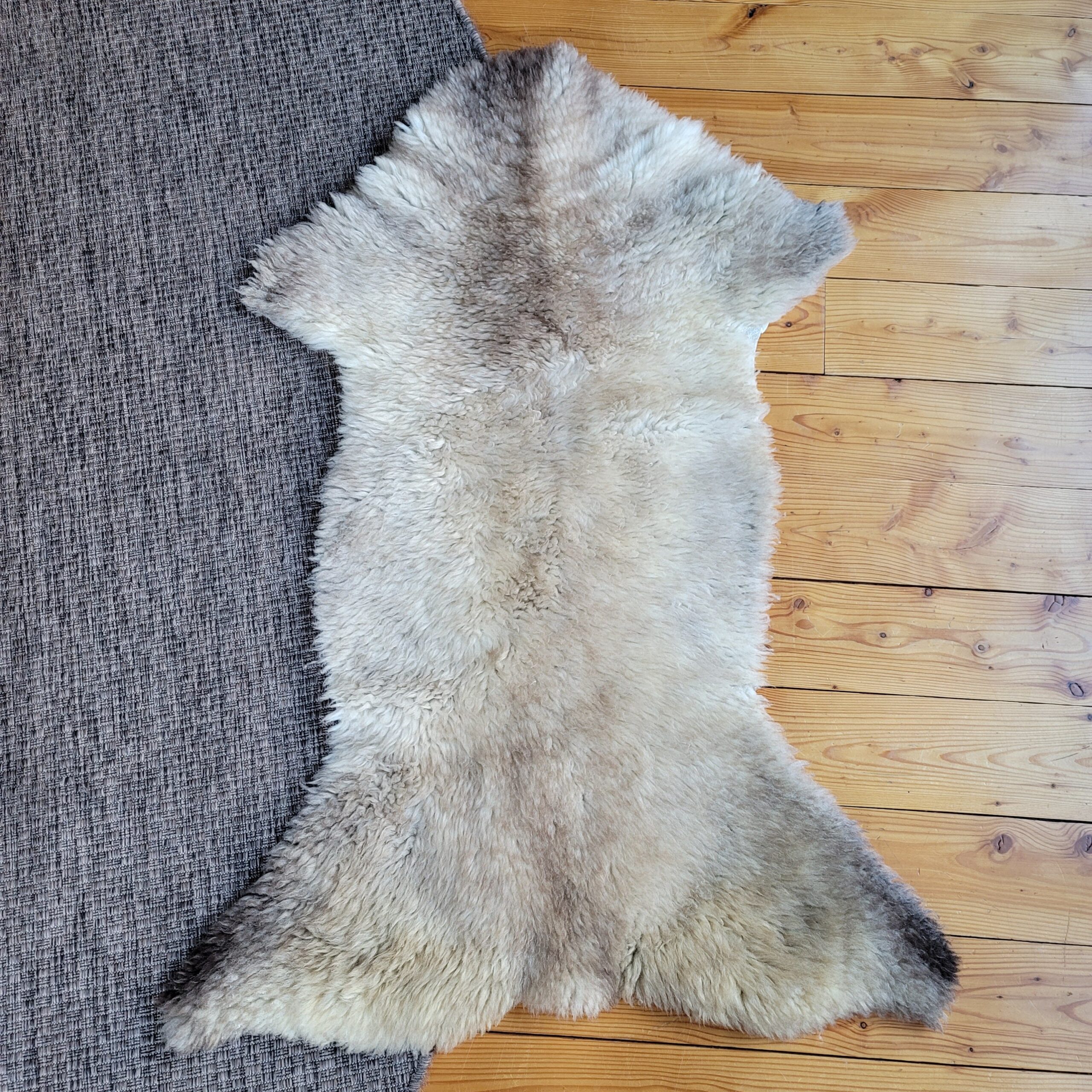 Rare German Sheepskin Short Crimped Natural Tan Wool 49″ × 34″ - Image 2