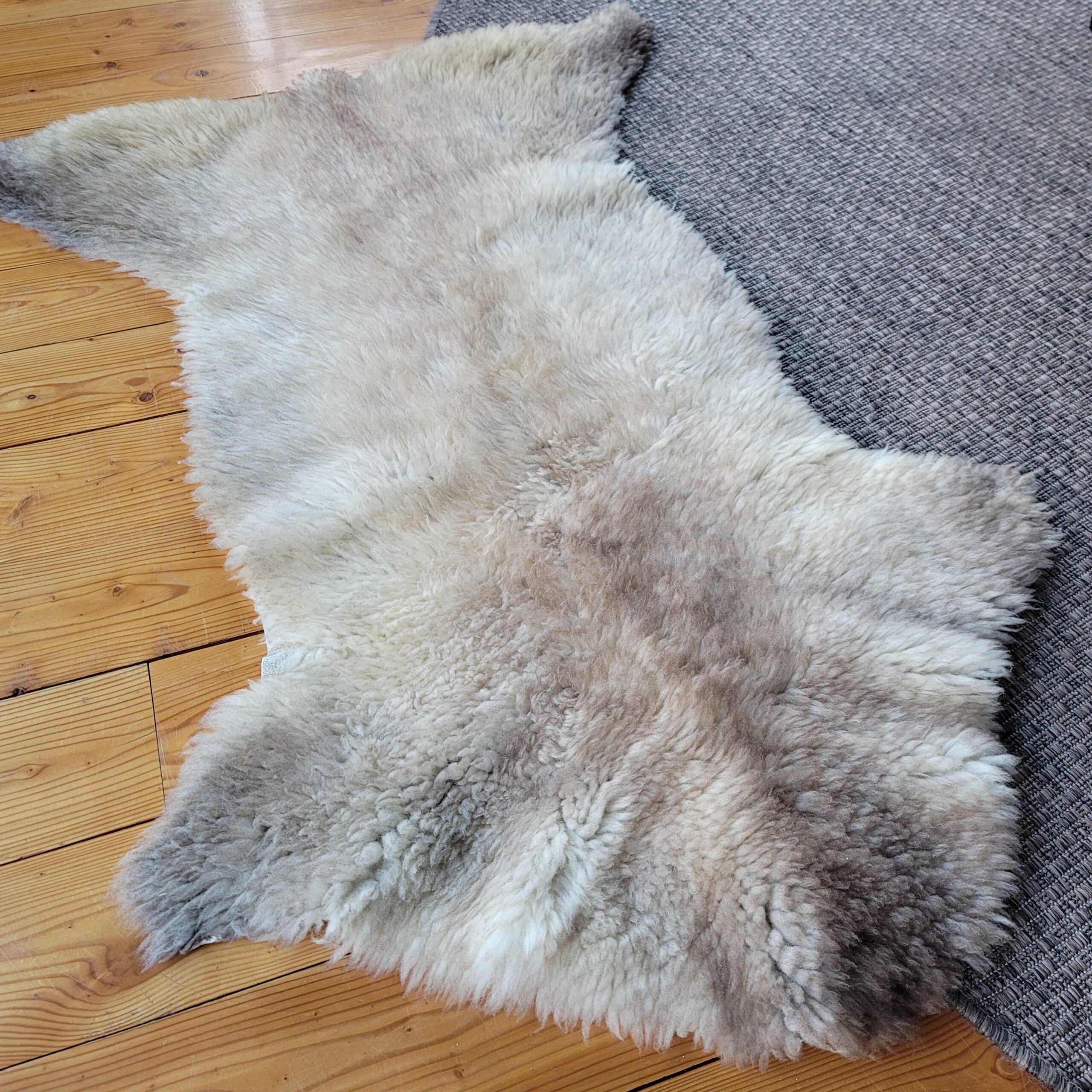 Rare German Sheepskin Short Crimped Natural Tan Wool 49″ × 34″ - Image 4